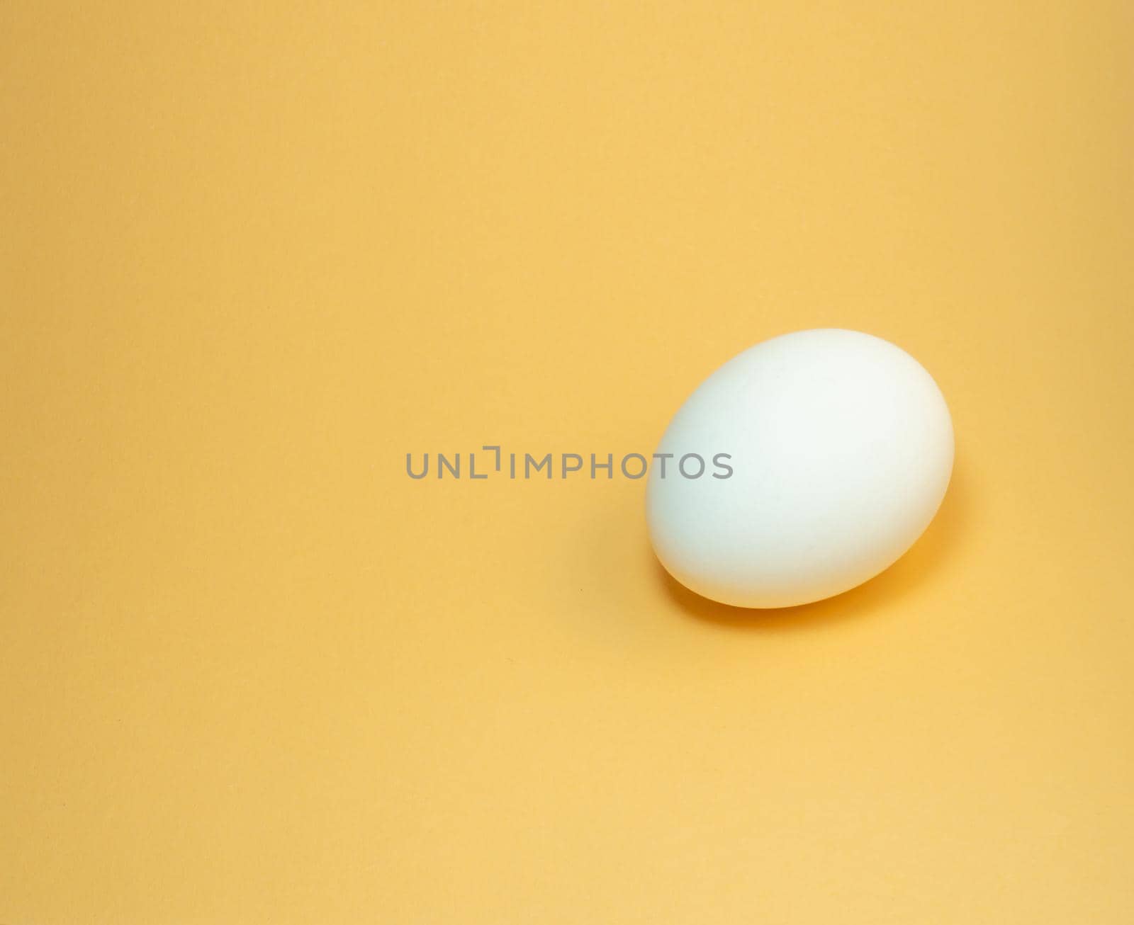 egg on a yellow background.   by Puludi