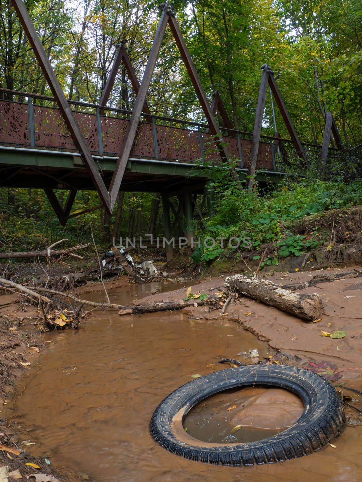 An abandoned tire in a stream in a city park. Bad ecology