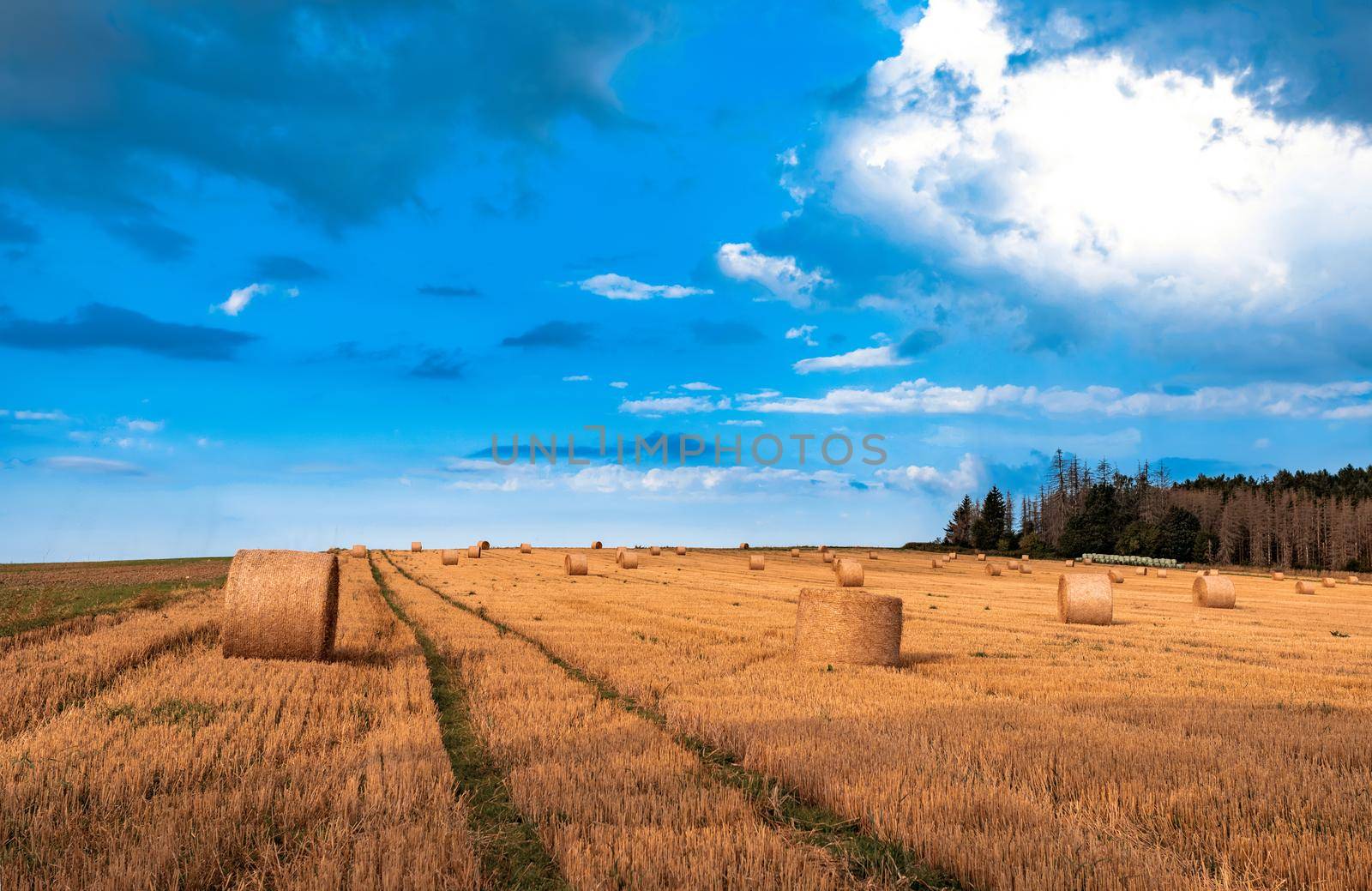 Straw bales stacked in a field at summer time, Vysocina Czech Republic