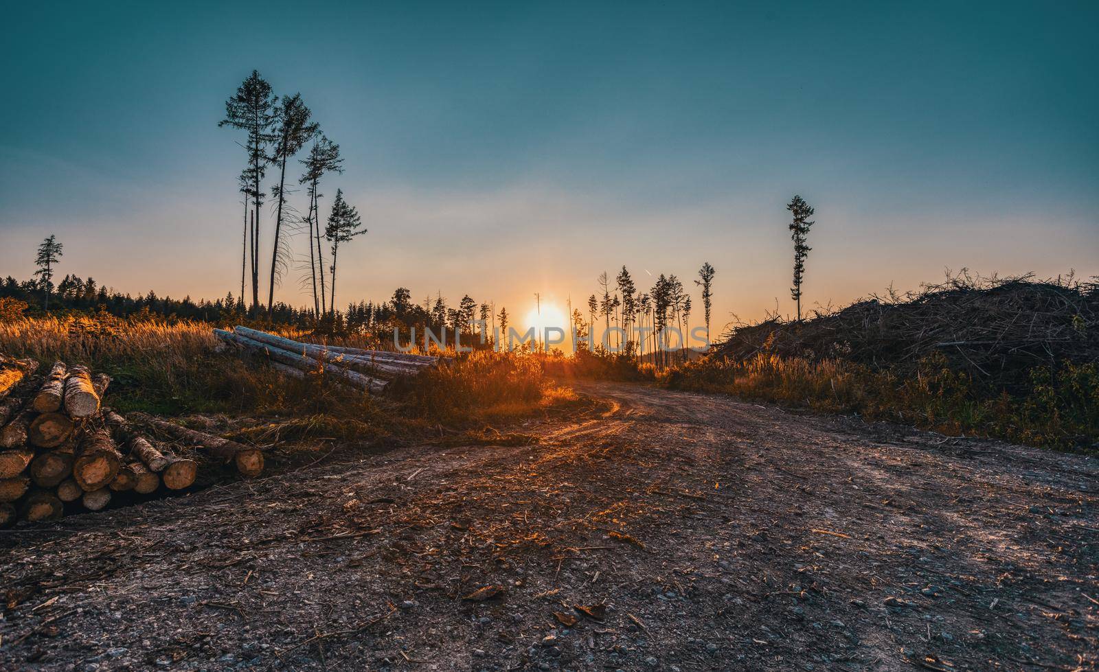 summer sunset in countryside, deforested landscape after beetle attack, Vysocina, Czech Republic