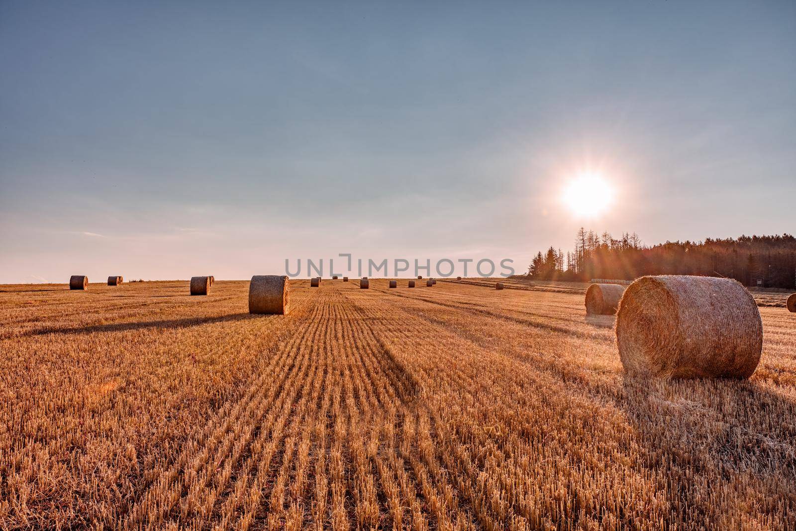 Straw bales stacked in a field at summer time in sunset by artush