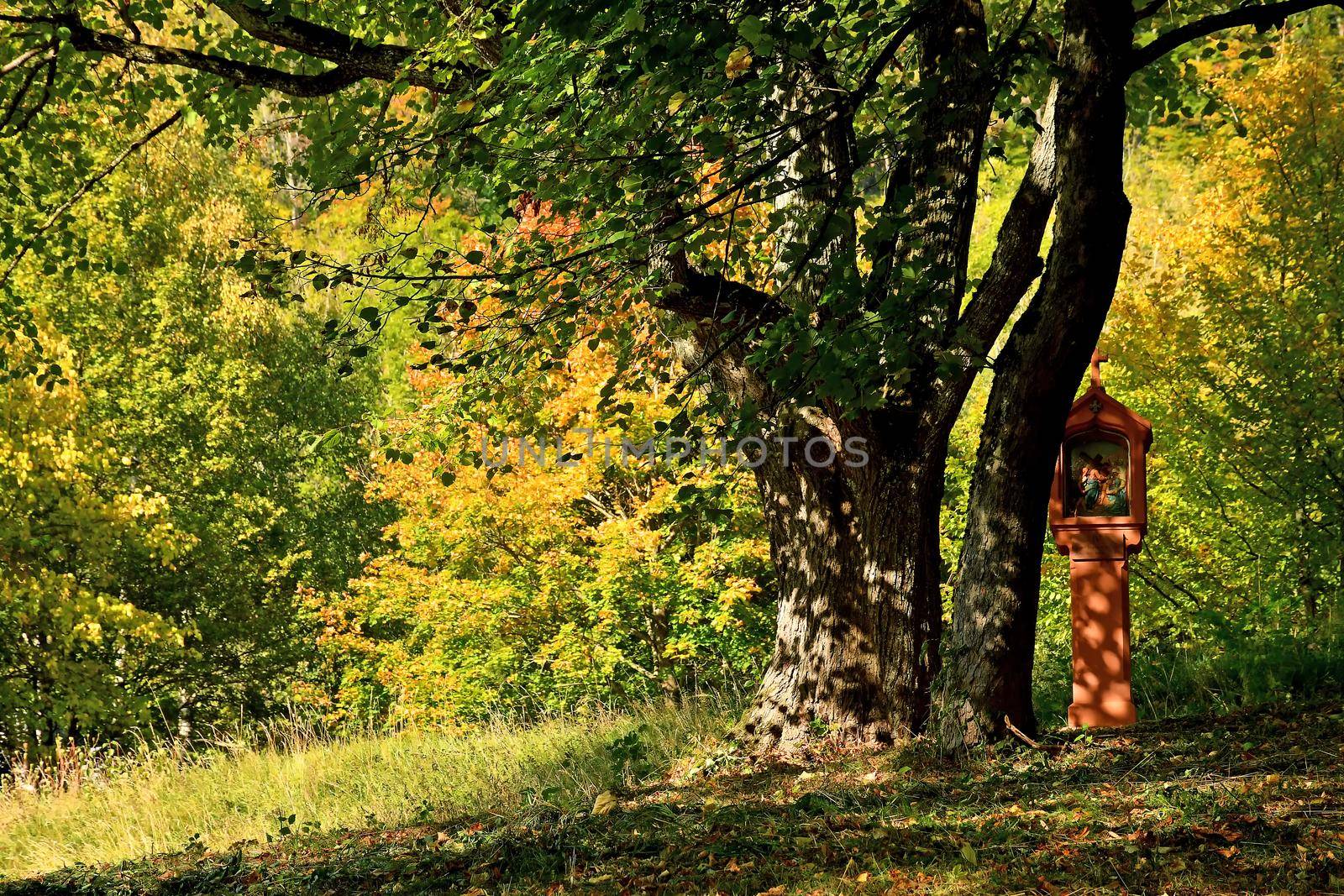 cross of a pilgrim way with autumnal painted leaves by Jochen