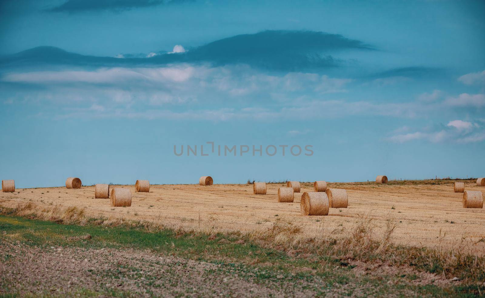Straw bales stacked in a field at summer time, Vysocina Czech Republic