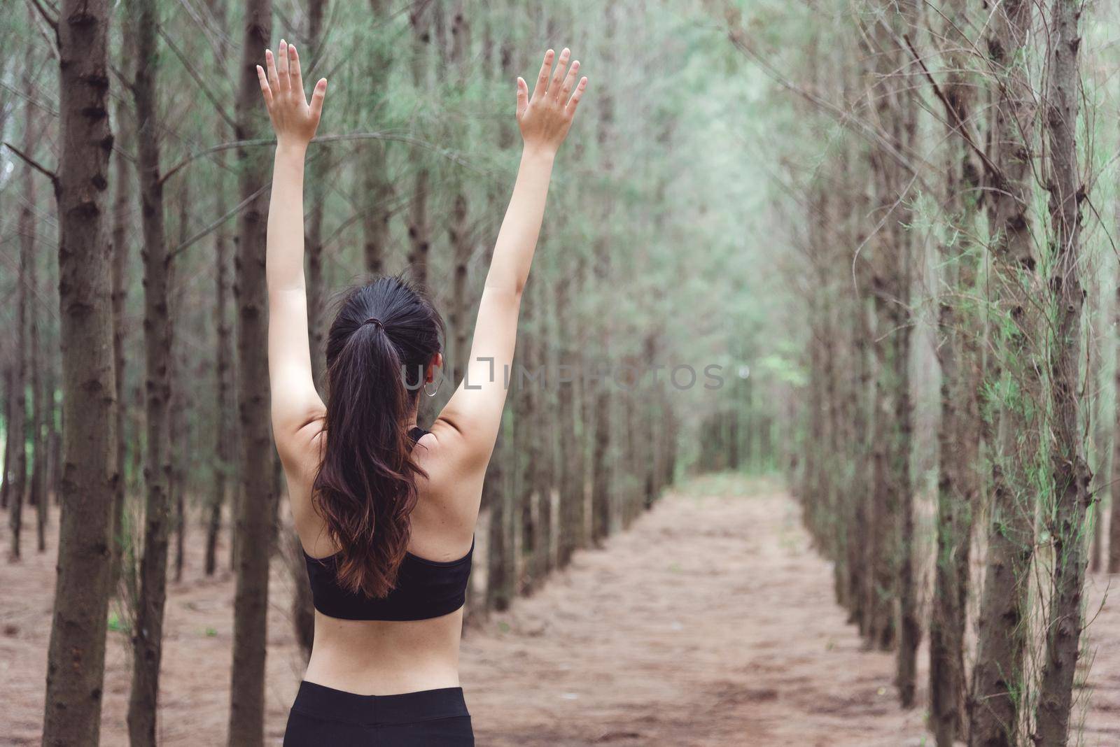 Women breathe fresh air in middle of pinewood forest while exercising. Workouts and Lifestyles concept. Happy life and Healthcare theme. Nature and Outdoors theme. Back view