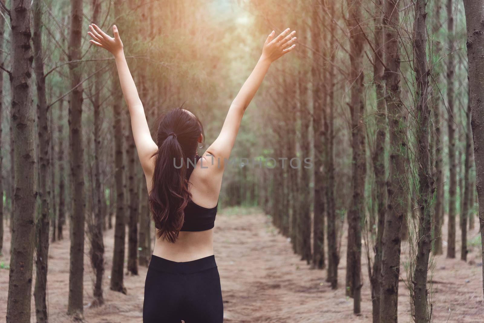 Women stretching arms and breathing fresh air in middle of pinewood forest while exercising. Workouts and Lifestyles concept. Happy life and Healthcare theme. Nature and Outdoors theme. Back view