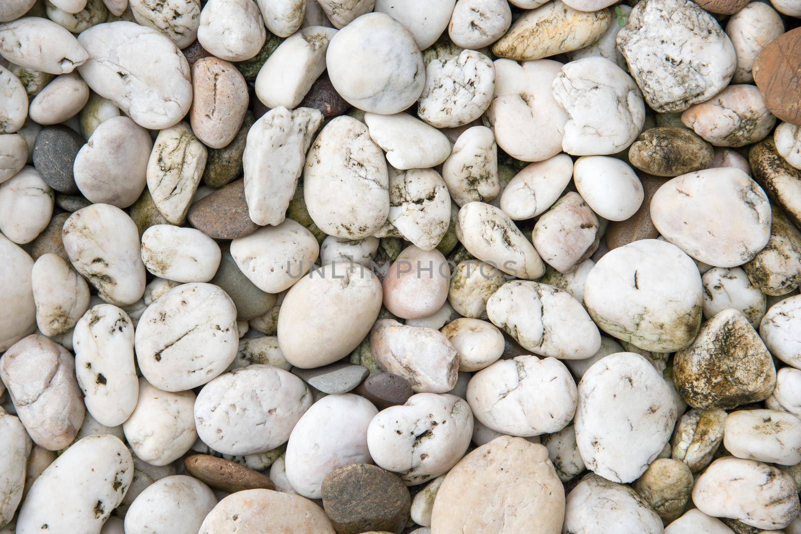 White pebble stone background. Texture and material theme.