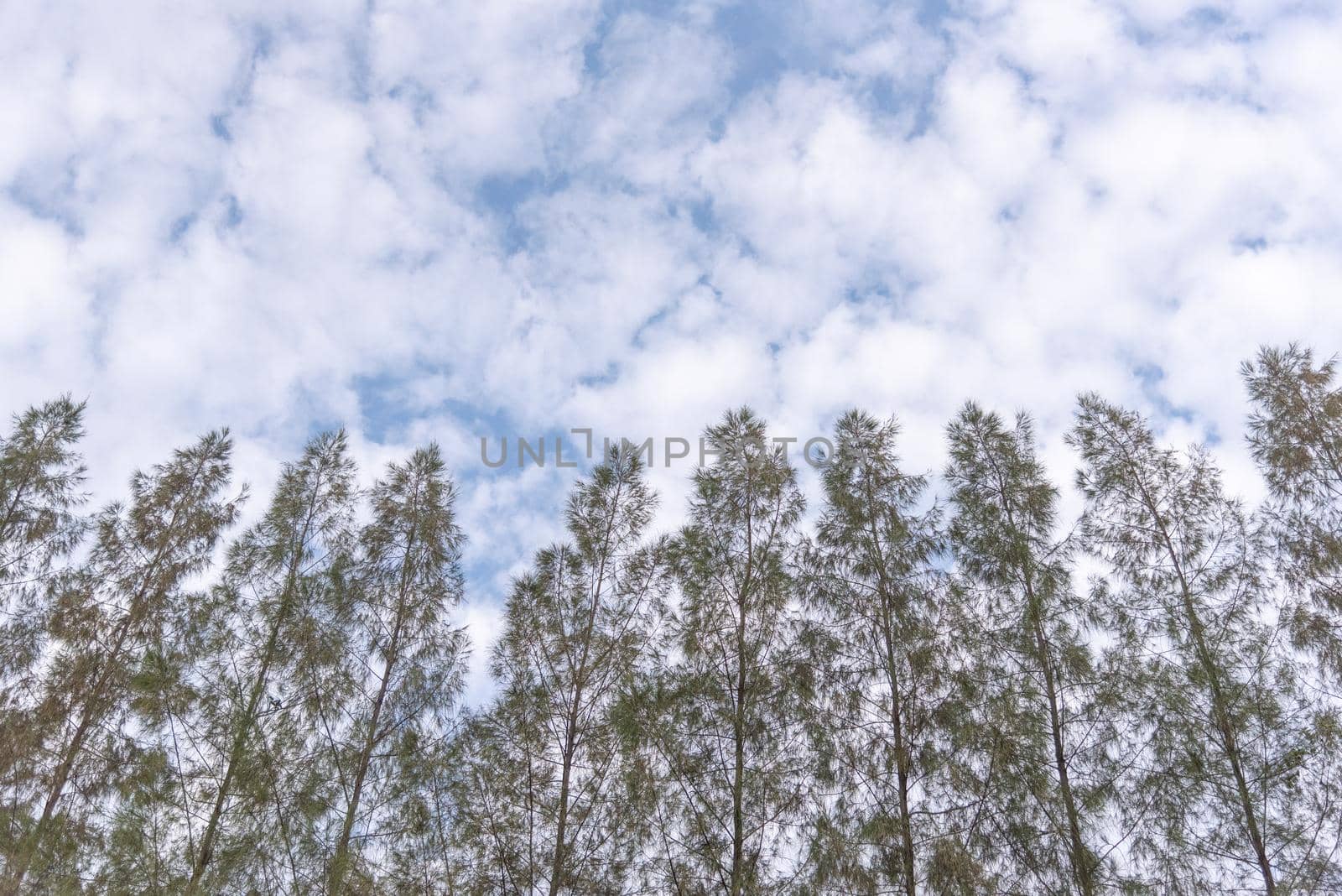 Blue sky background with clouds. Nature and Background concept. Space and air theme.