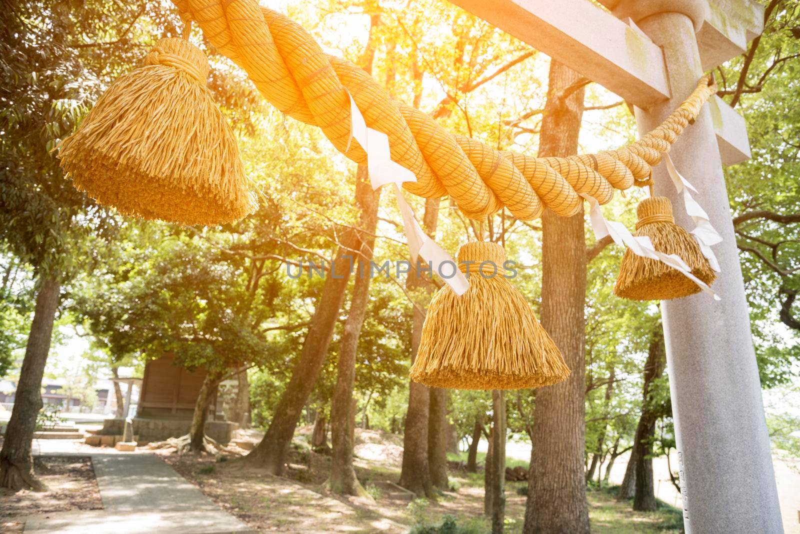 Japanese big rope in new year day named "Shime-Nawa", Festival in Japan concept