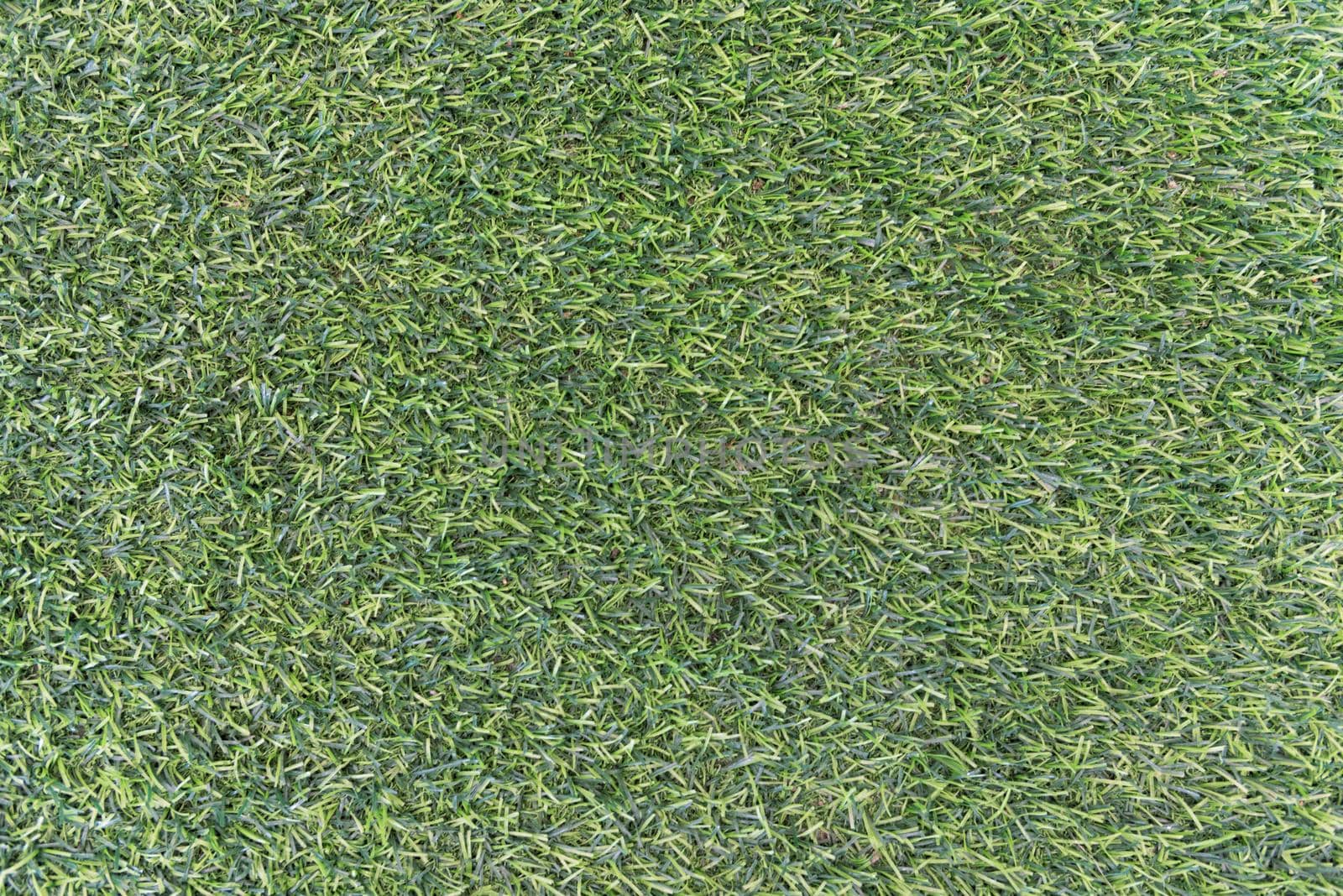 Green grass texture background. Nature and wallpaper concept. Outdoors and decoration theme.