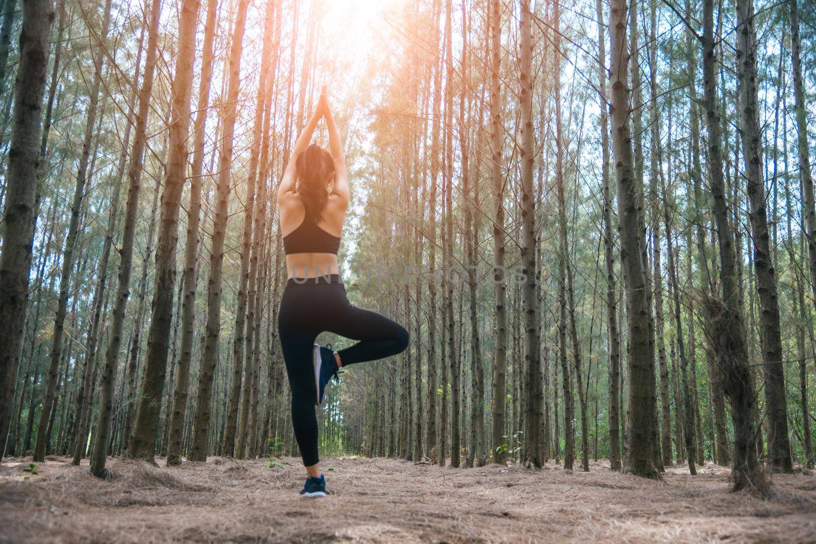Beautiful Asian young woman standing and doing yoga in forest. Exercise and meditation concept. Pay obeisance or raise hand concept. Pine wood in summer theme. Back view