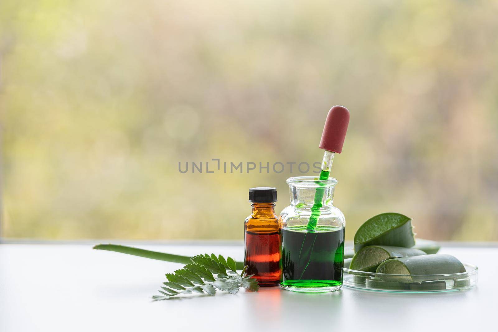 Aloe vera spa treatments on white wooden table. Healthcare and body therapy massage relaxation concept. Beauty and Healthy theme. Pure natural extract and Medical theme.