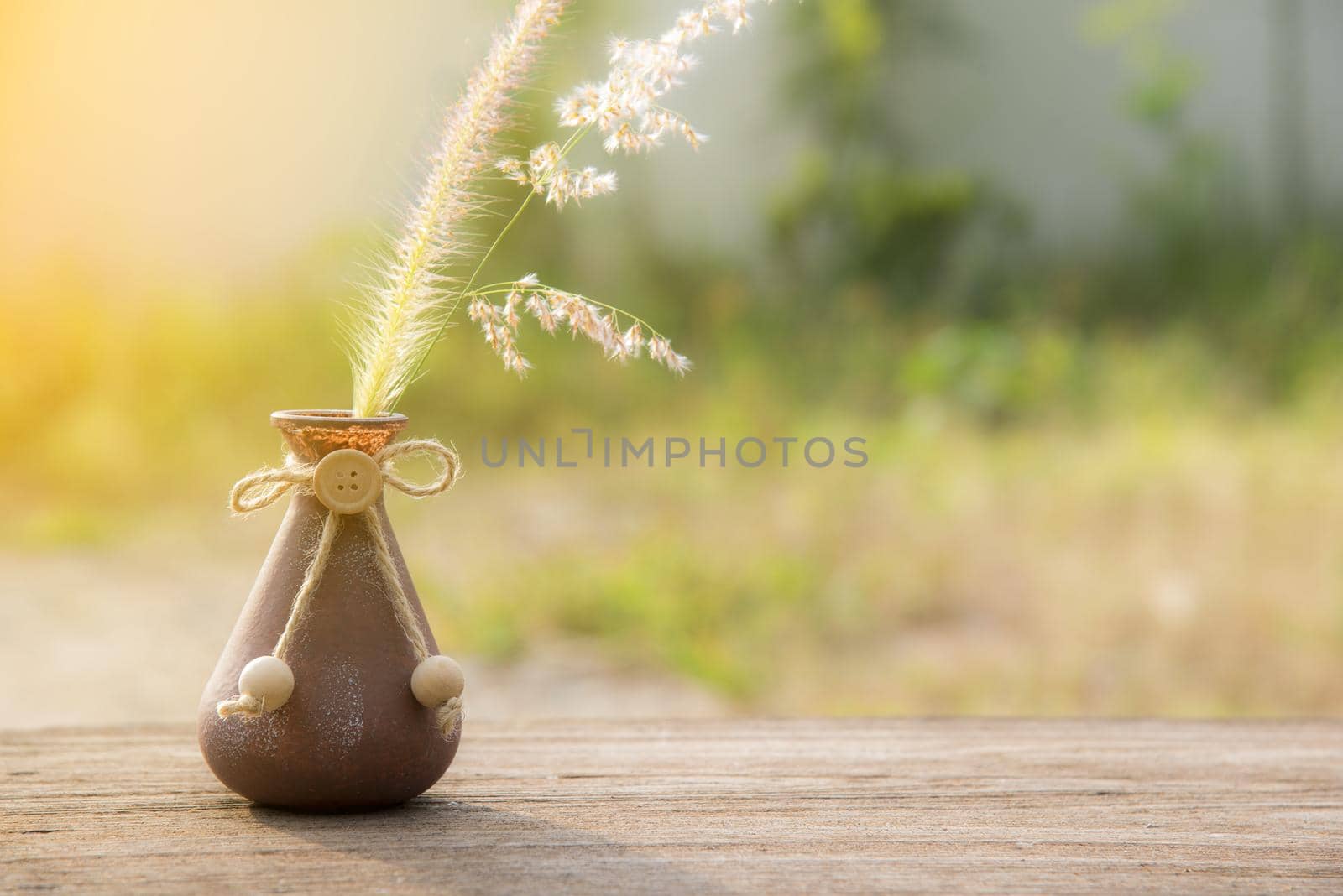 Grass Flower in the vase, selective focus, Environment concept, World saving concept