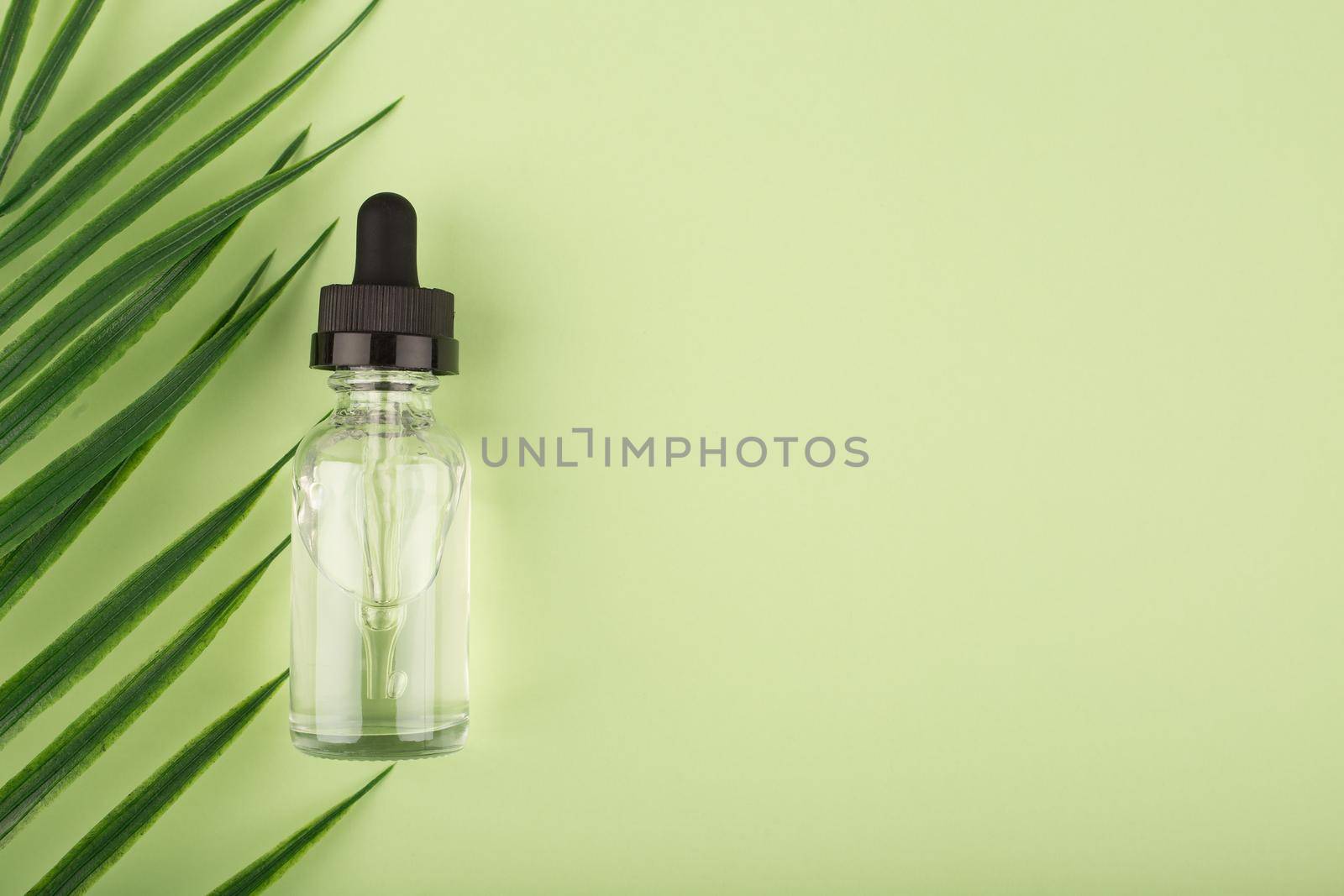 Skin serum in transparent bottle on light green background with palm leaf by Senorina_Irina