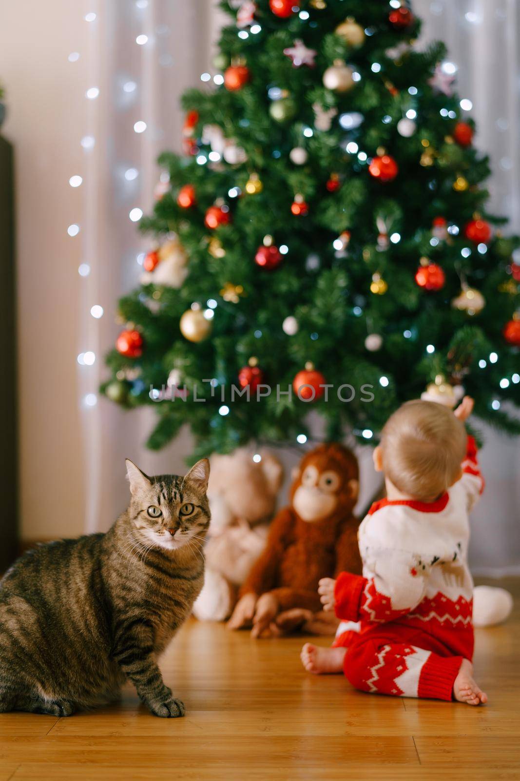 Cat is sitting in front of a Christmas tree while baby is reaching for a Christmas ornament. High quality photo