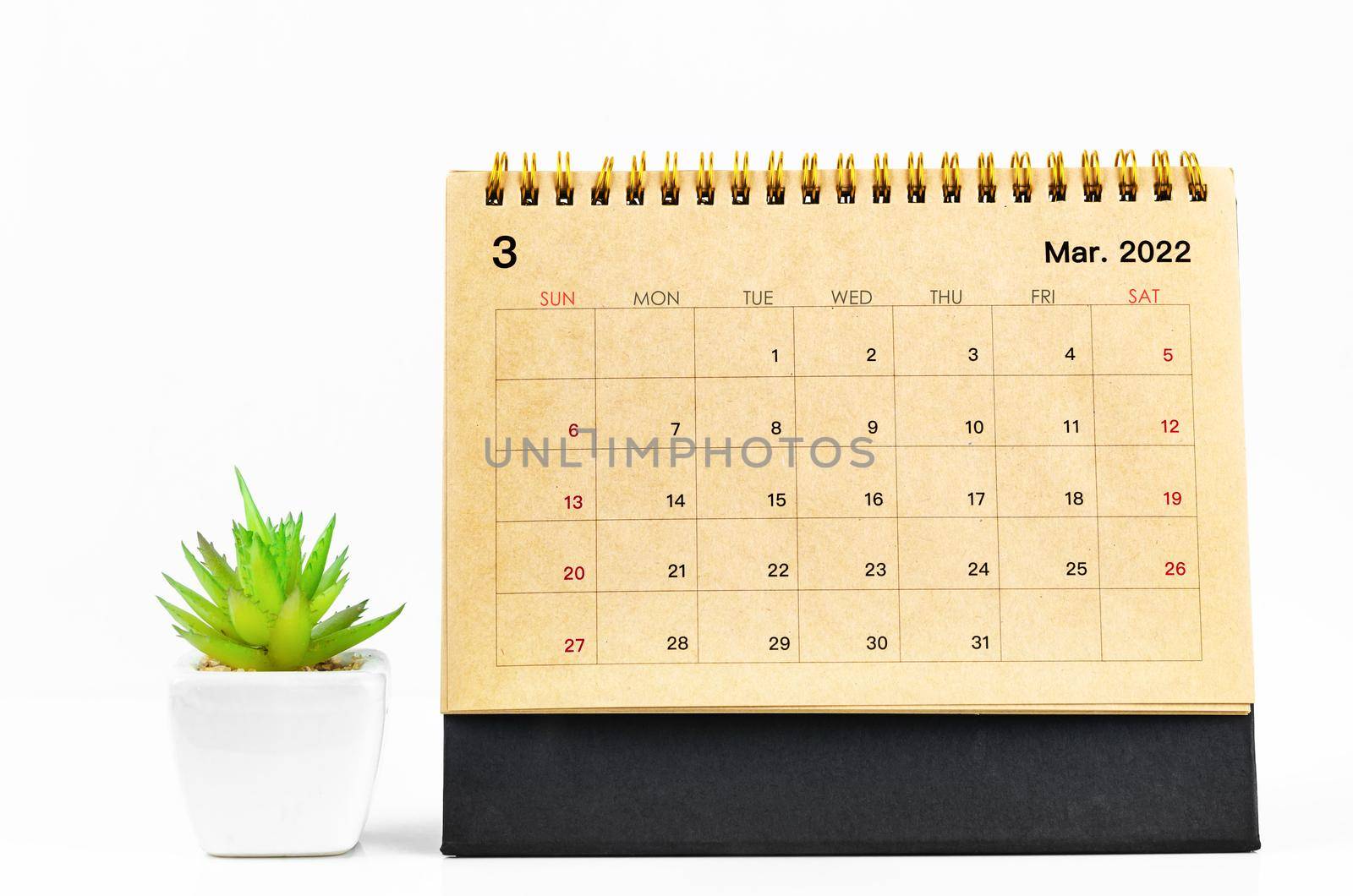 March 2022 Desk calendar with plant pot on wooden table.