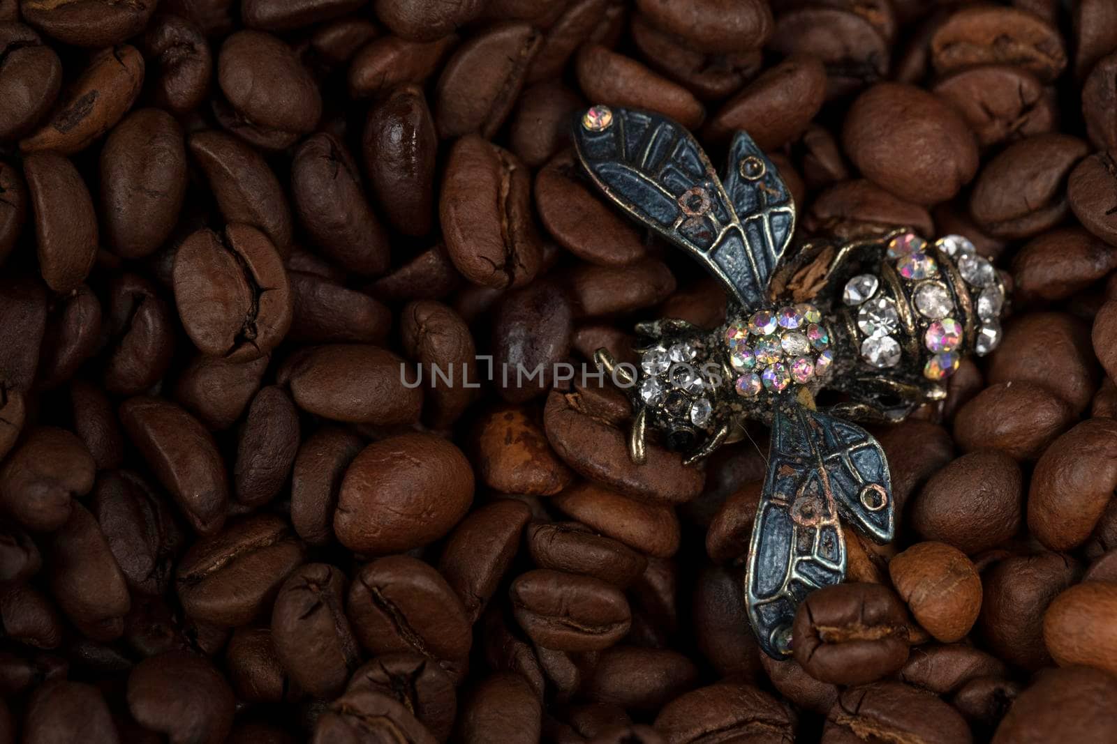 A fly-shaped brooch lies on scattered coffee beans.