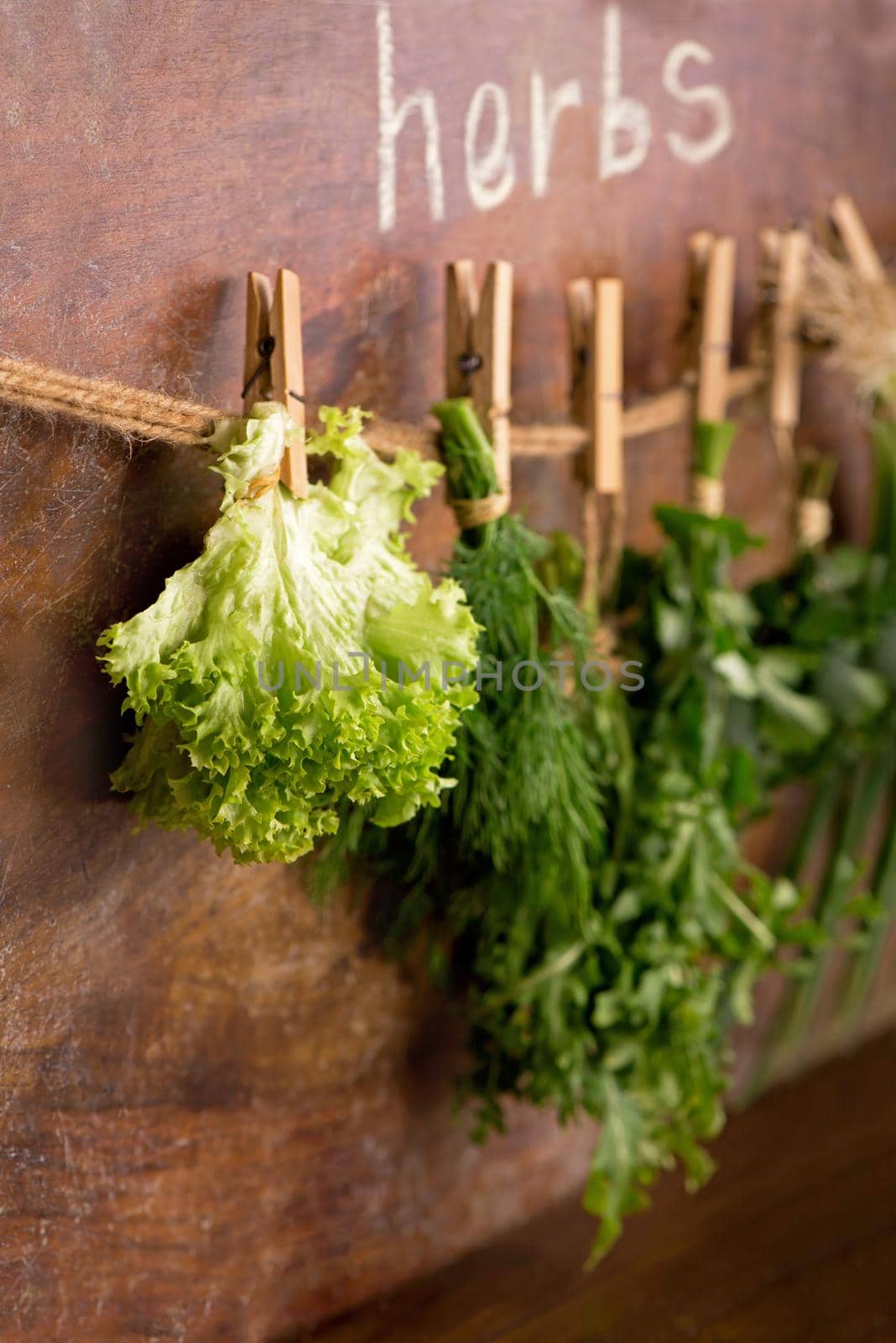 Fresh herbs hanging over wooden background. thyme, basil, oregano parsley. by aprilphoto
