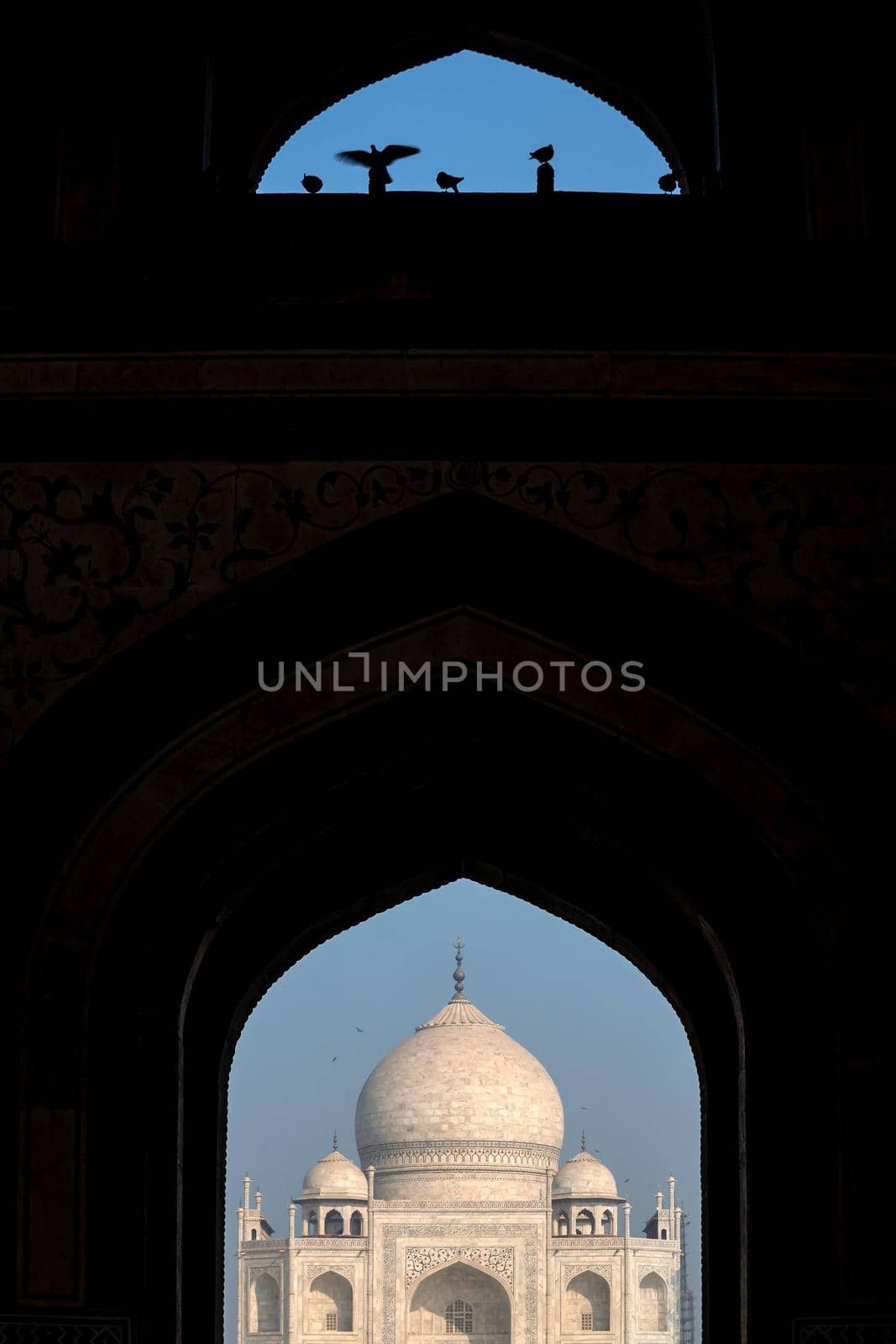 Taj Mahal in Agra, India  by f11photo