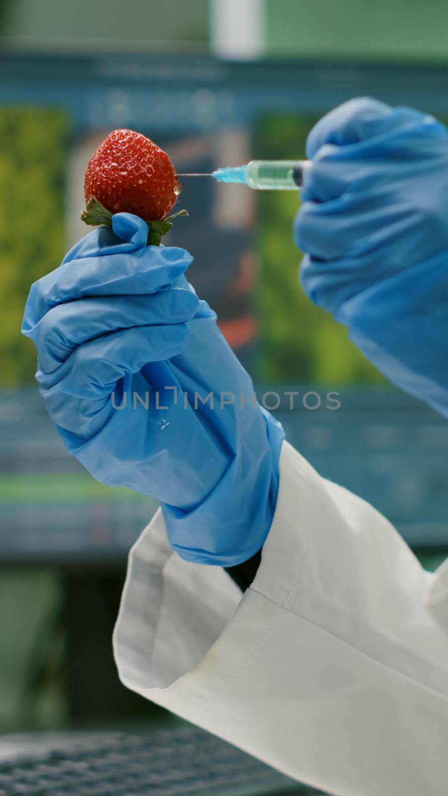 Closeup of biologist scientist injecting strawberry with dna liquid by DCStudio