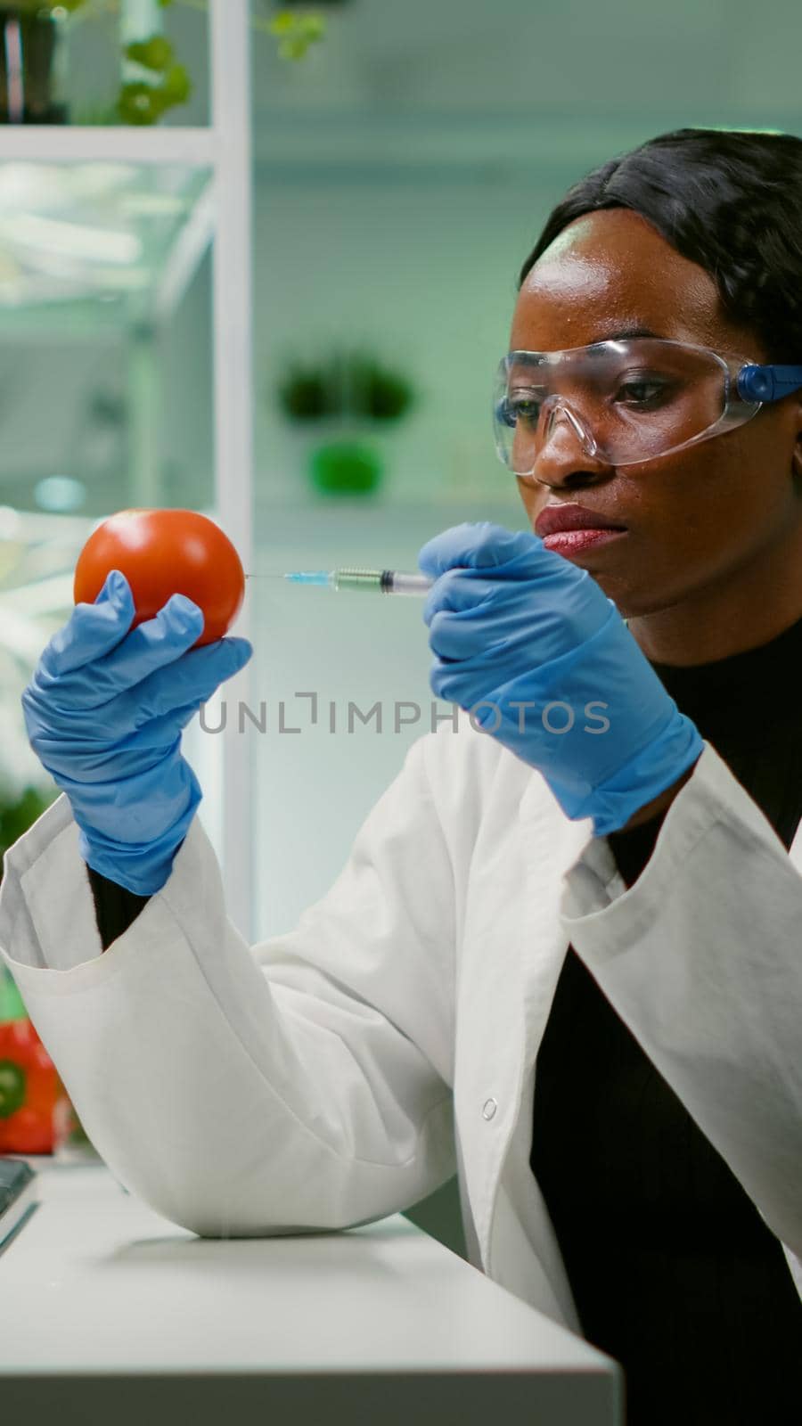 African biochemist with medical gloves injecting organic tomato with pesticides by DCStudio