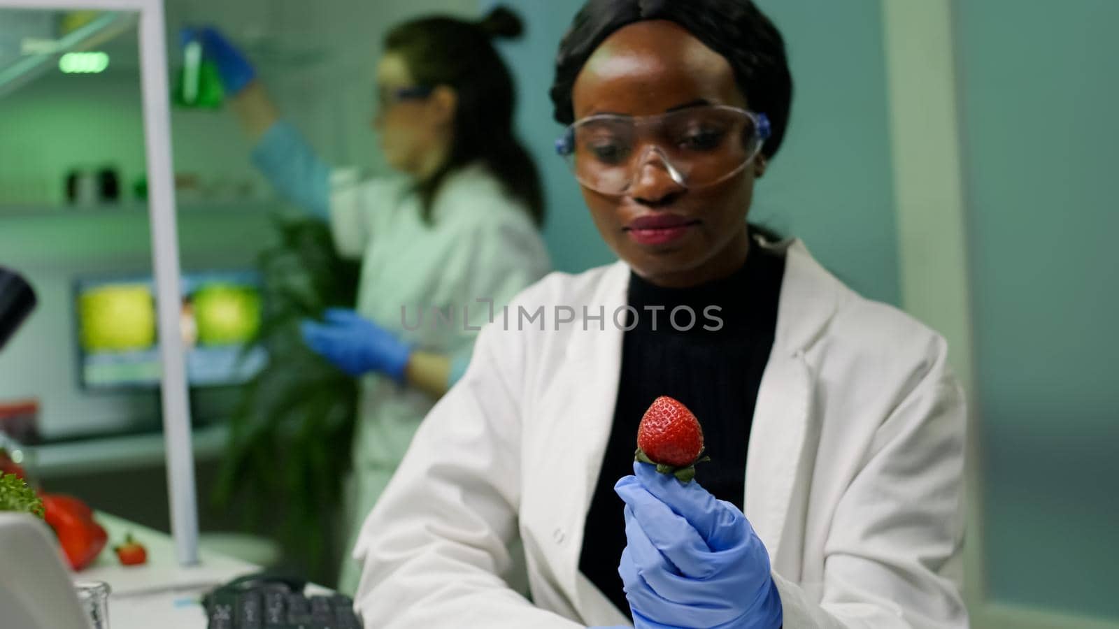 African chemist with medical glasses looking at strawberry injected with chemical pesticides examining fruits for farming researcher experiment. Biologist working in agriculture scientific lab