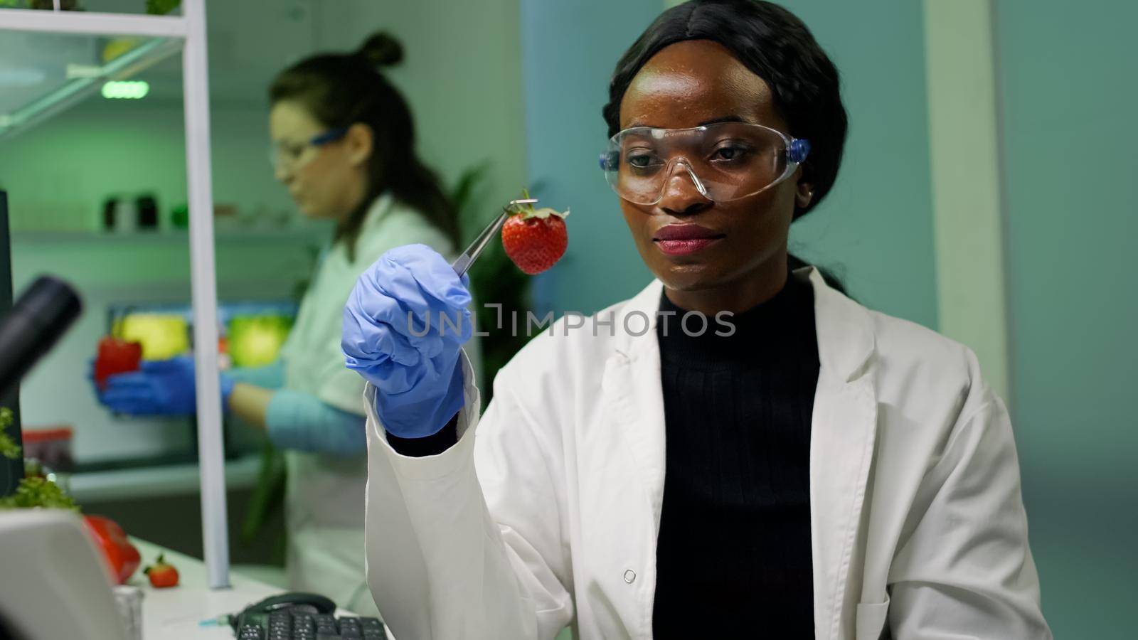 African biologist holding strawberry injected with dna liquid with medical tweezers checking health of fruits. In background her collegue researching gmo test on computer while working in farming lab