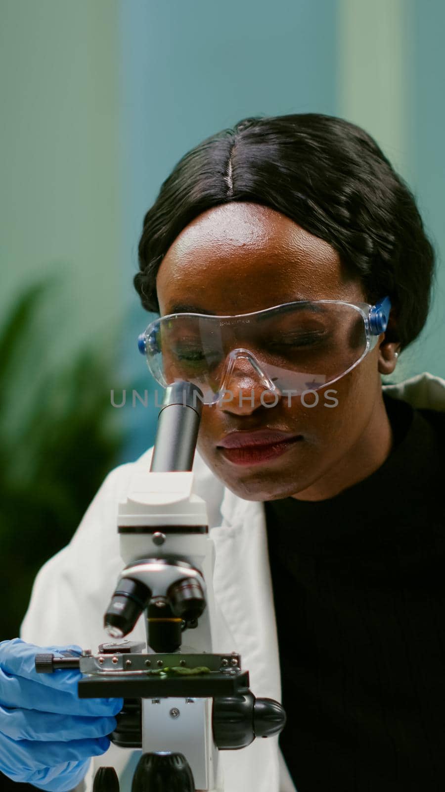 Portrait of scientist taking leaf sample with micropipette putting on slide under microscope for medical experiment. Chemist analyzing organic agriculture plants in microbiology scientific laboratory