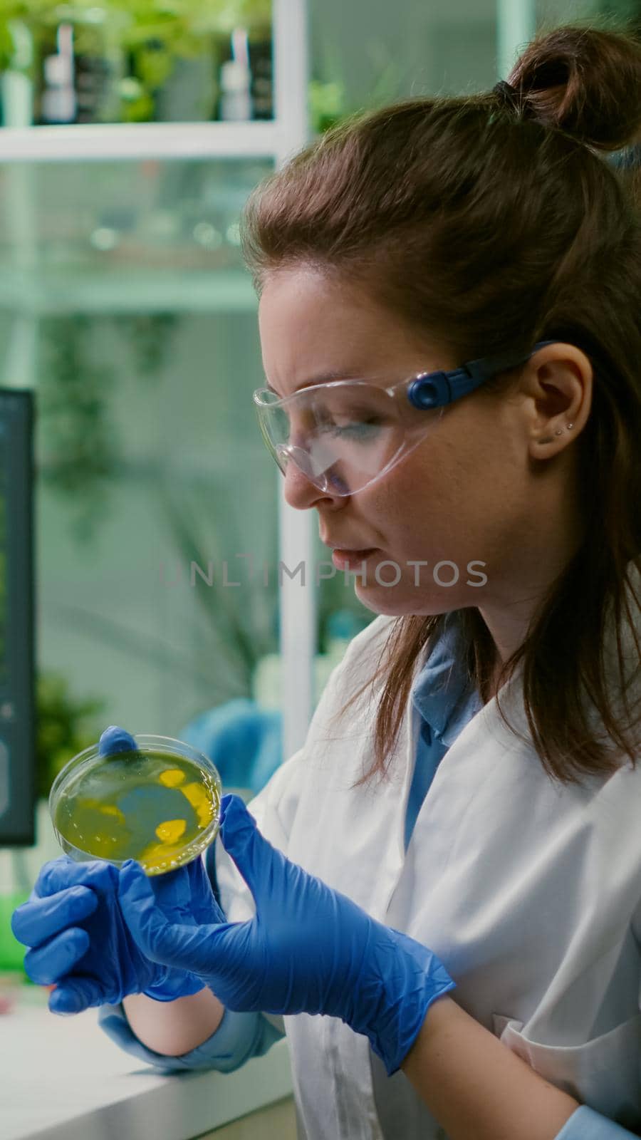 Pharmaceutical researcher analyzing solution test from petri dish for developing medical expertise. Biologist researcher typing microbiology process on computer working in chemical laboratory