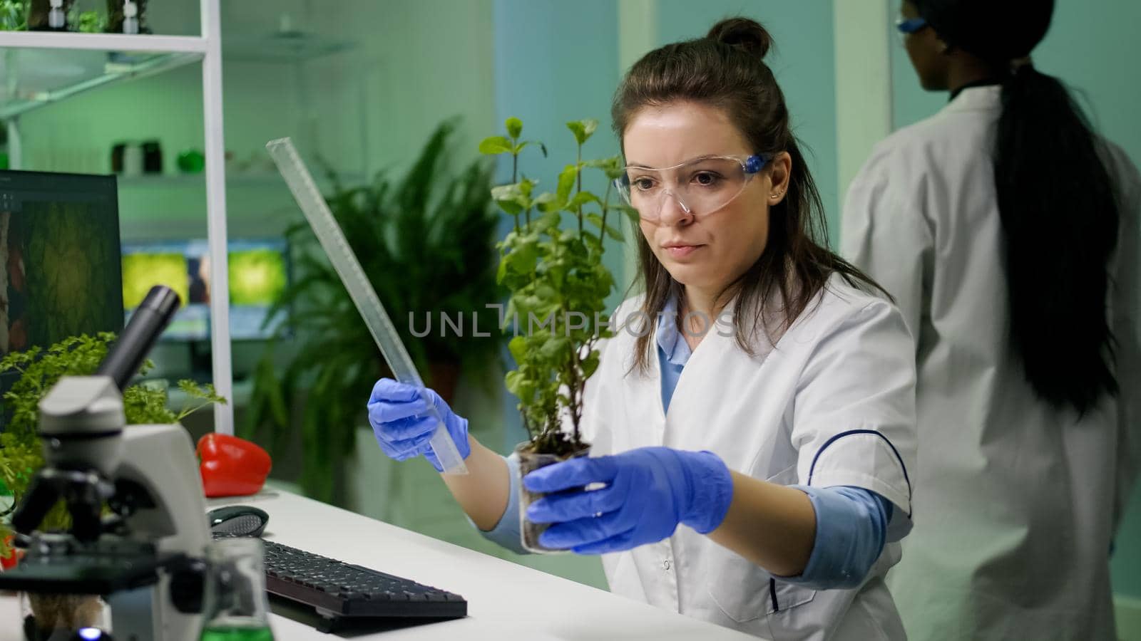 Botanist researcher measure sapling for botany experiment working in pharmaceutical laboratory. Biochemist scientist examining organic plants typing expertise information on computer