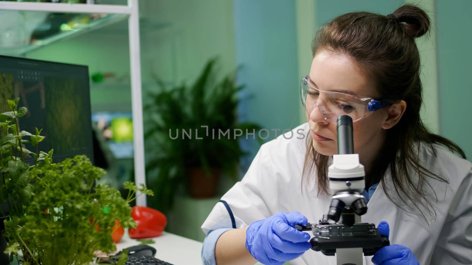 Biologist scientist looking at green leaf sample under microscope researching genetic mutation. Chemist specialist analyzing organic gmo plants while working in microbiology food laboratory