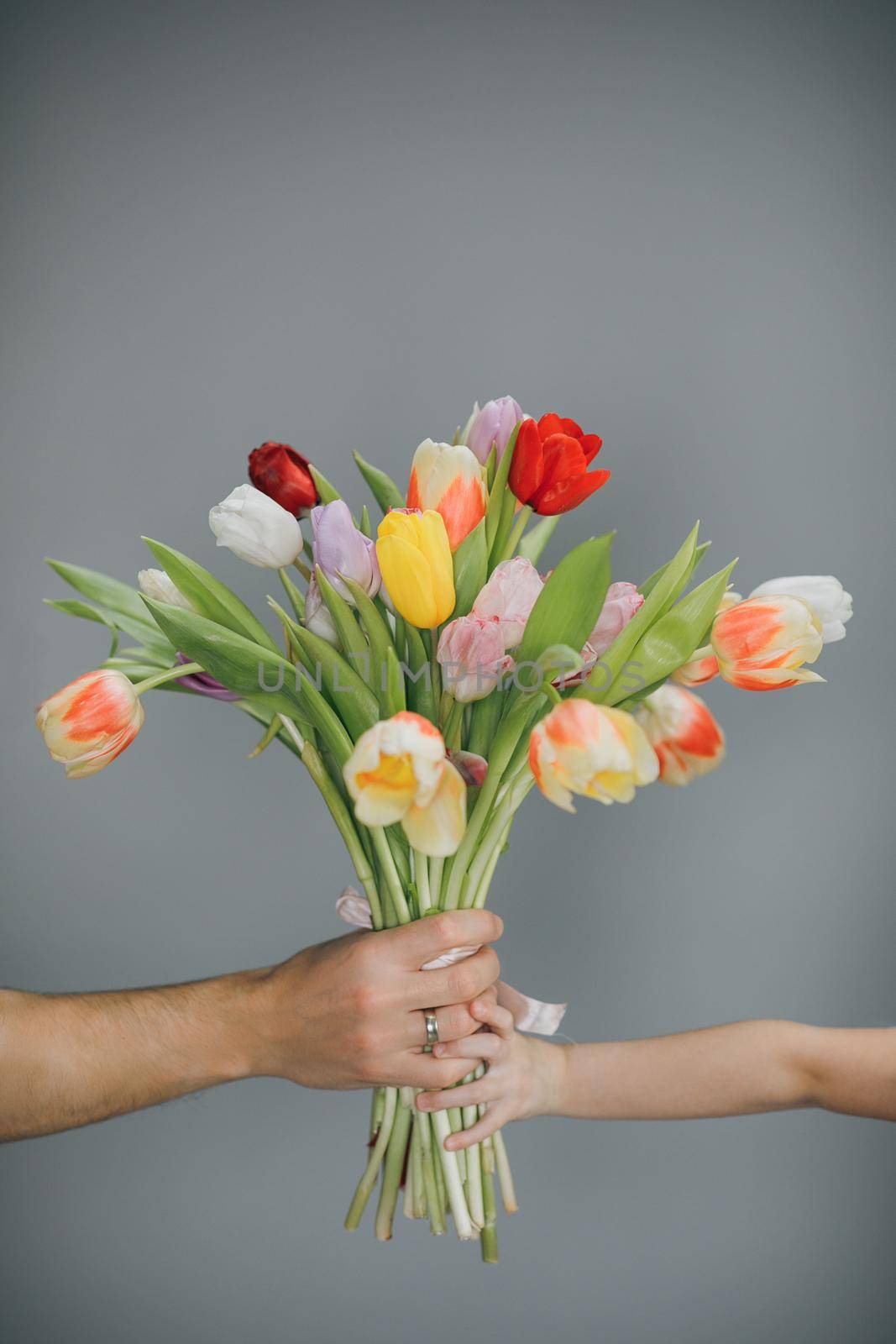 Spring bouquet of tulips in hands. Bunch of fresh cut spring flowers in hands. Arms Giving tulips bouquet. Spring bouquet of tulips in hands. Bunch of fresh cut spring flowers.