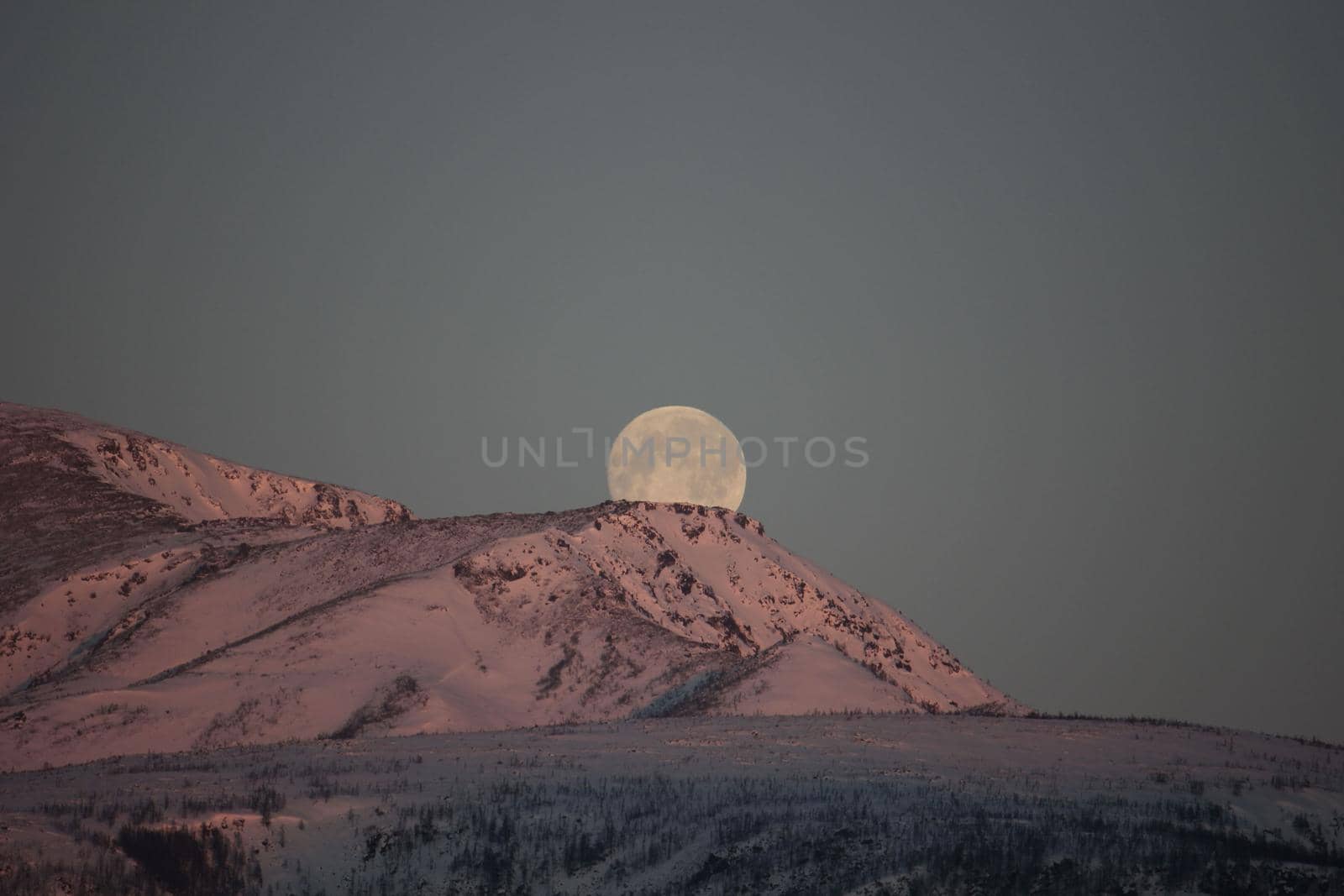 At dawn, a beautiful full moon peeps out over the hill. Full moon at dawn. Moonrise among the alpine peaks. Full moon before sunrise with silhouette mountain by Rusrussid