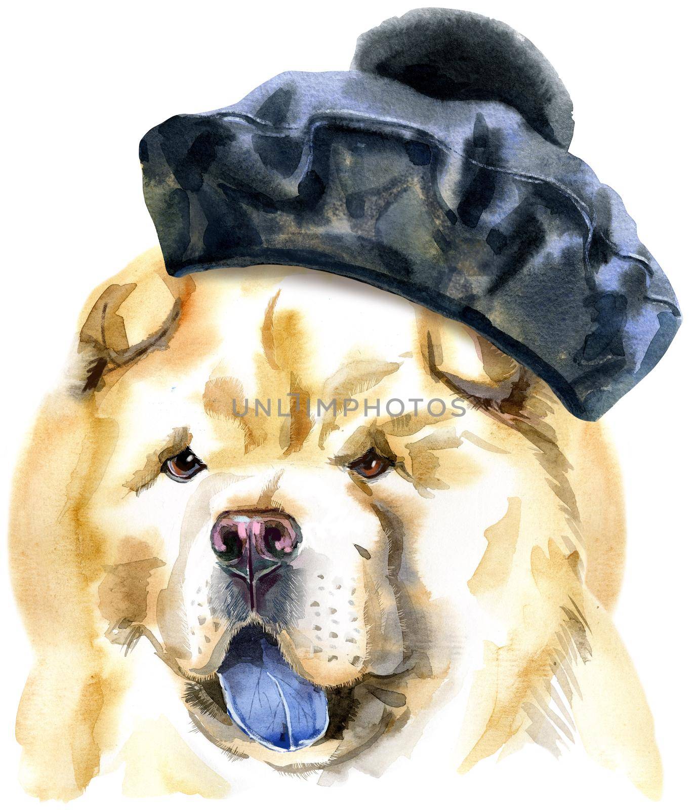 Cute Dog in black beret. Dog T-shirt graphics. watercolor chow-chow dog illustration