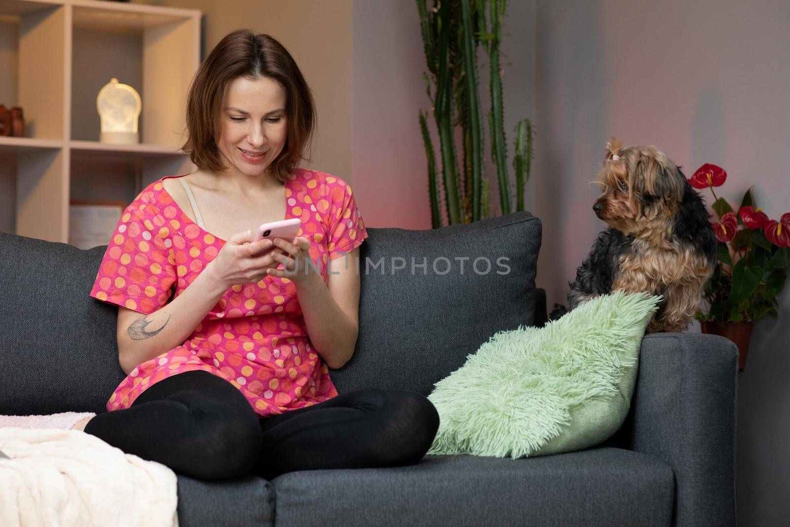 Happy Young Woman Holding Smart Phone Looking at Cellphone Screen Laughing Enjoying Using Mobile Apps for Shopping. Having Fun Playing Games Chatting in Social Media Sit on Couch at Home