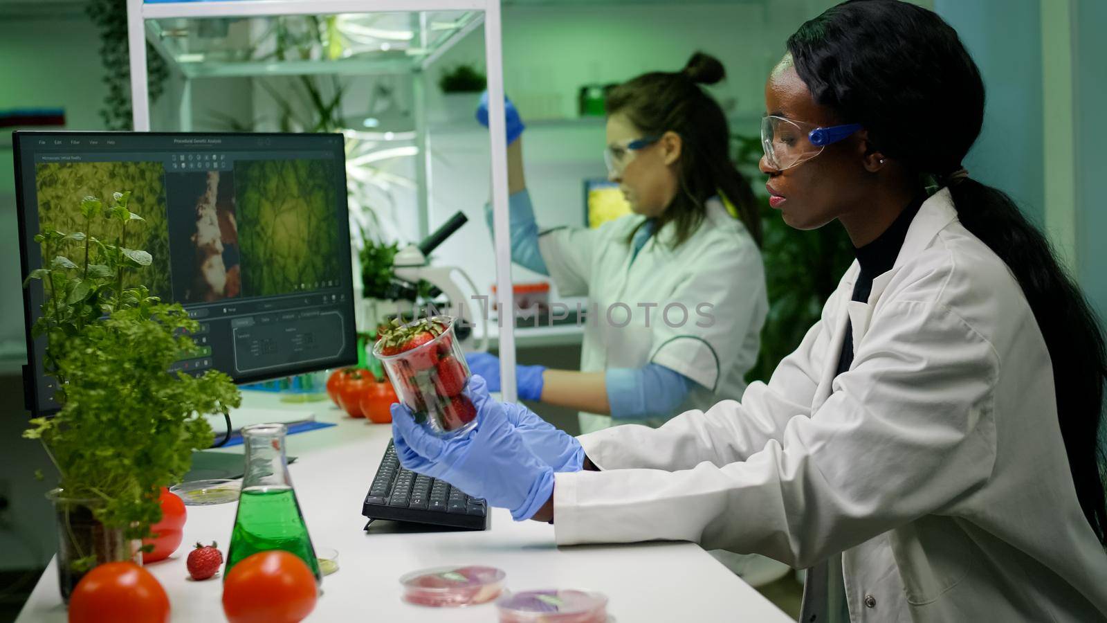 Pharmaceutical scientist looking at strawberry injecting with pesticides by DCStudio