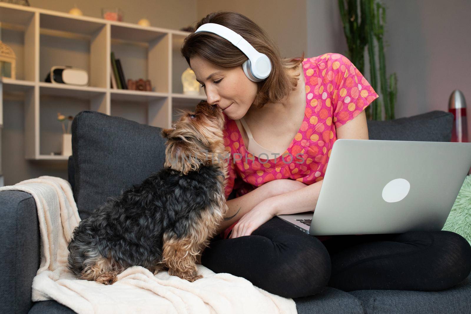 Lovely brown dog singing with her owner at home sitting on the sofa. Funny time together by uflypro