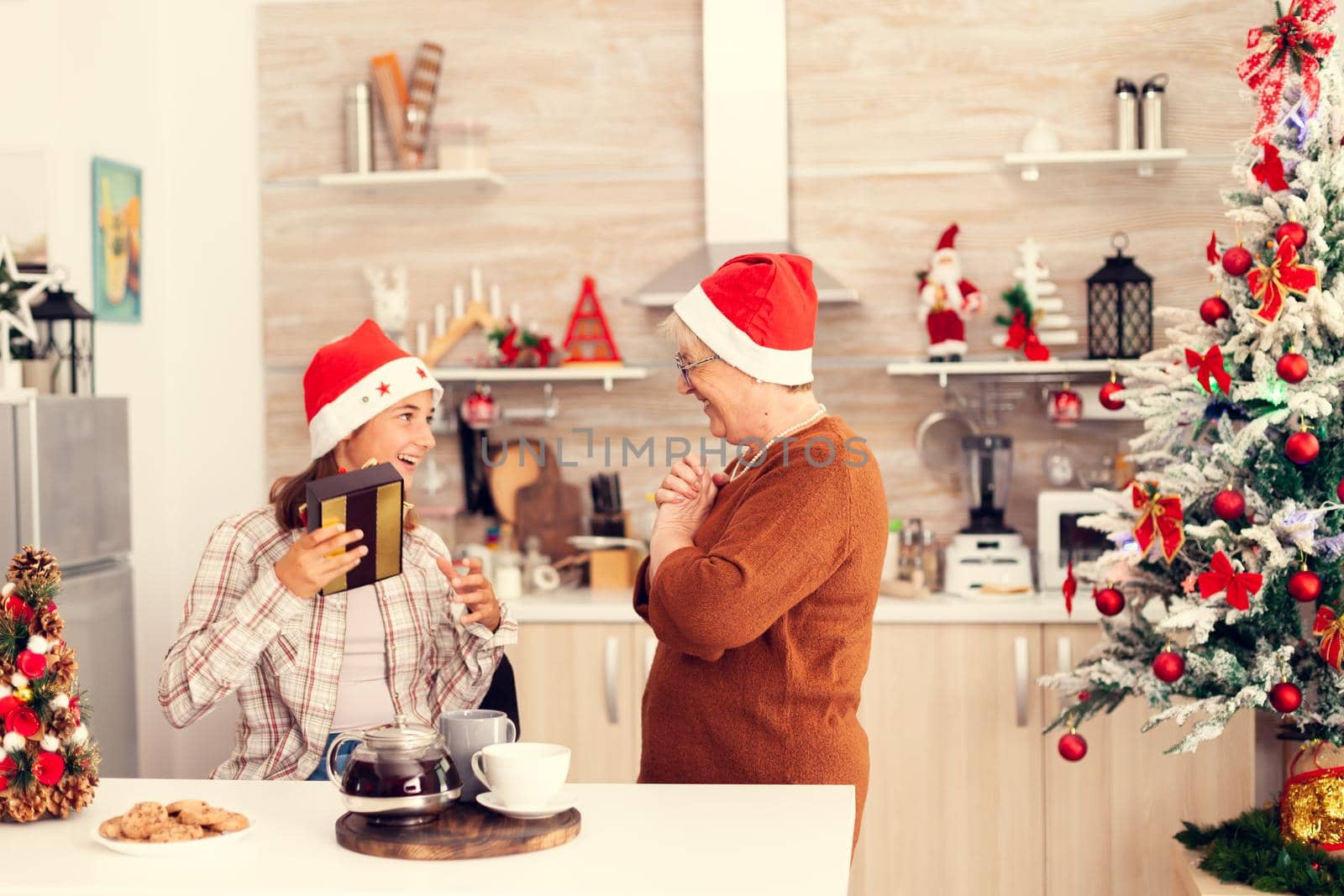 Granny smiling at niece after giving christmas gift box in beautiful decorated kitchen. Senior woman wearing santa hat surprising granddaughter with winter holiday present in home kitchen with xmas tree in the background.