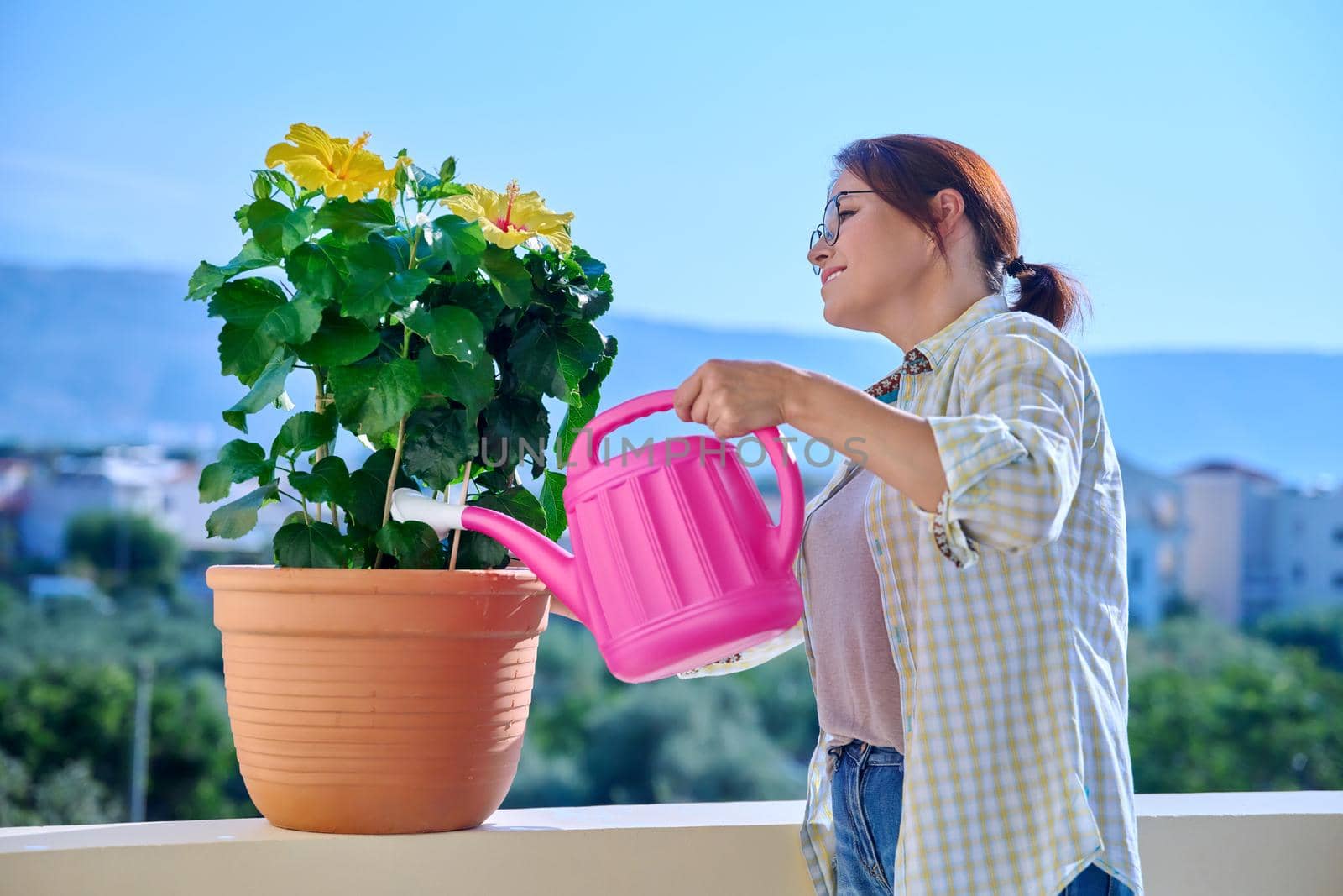 Adult woman watering flower in pot from watering can. Female caring for flowering yellow hibiscus houseplant on outdoor balcony. Green eco trends hobbies and leisure, landscaping balconies and housing