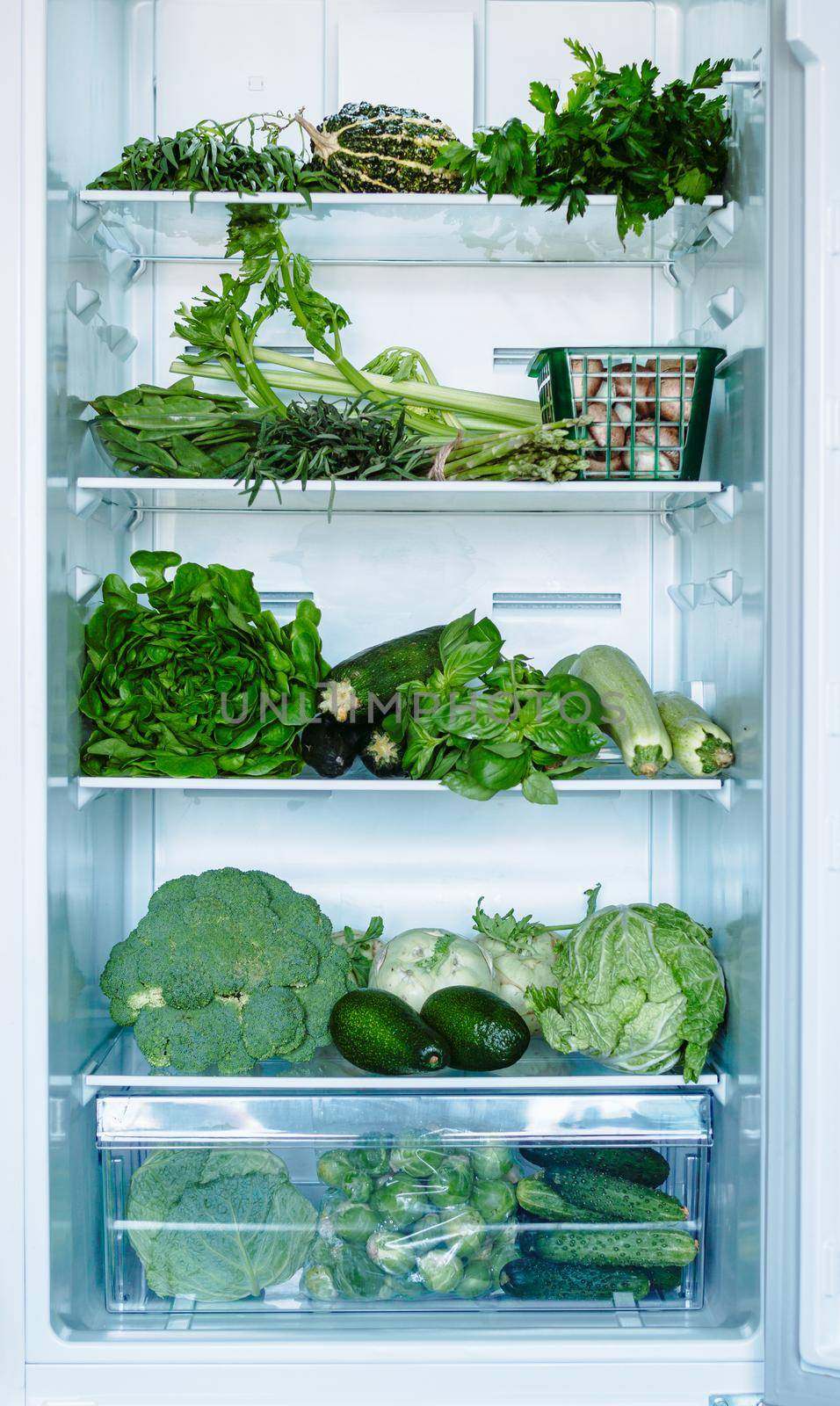 Fresh green vegetables in household refrigerator. Open full refrigerator with selected green vegetables and greens. Vertical shot of cabbages, zucchini, basil, avocado and cucumbers. Vegetarian food