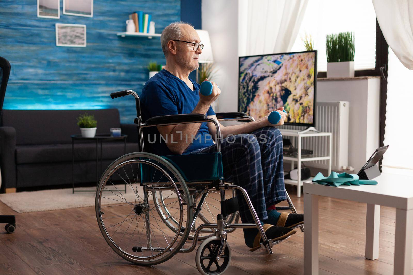 Focused senior man in wheelchair watching online workout video on tablet computer in living room working arm muscle using dumbbells. Invalid pensioner recovering body resistance after paralysis