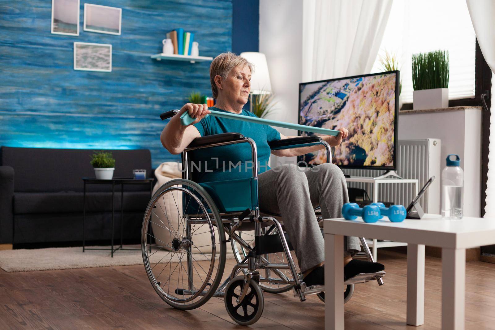 Invalid senior woman in wheelchair holding resistance elastic band stretching body muscle by DCStudio