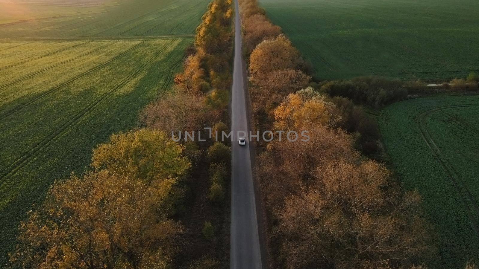 Aerial view Electric Car Driving on Country Road. Luxury modern vehicle riding fast along trees and fields. Cinematic drone shot flying over gravel road with trees at sunset. by uflypro