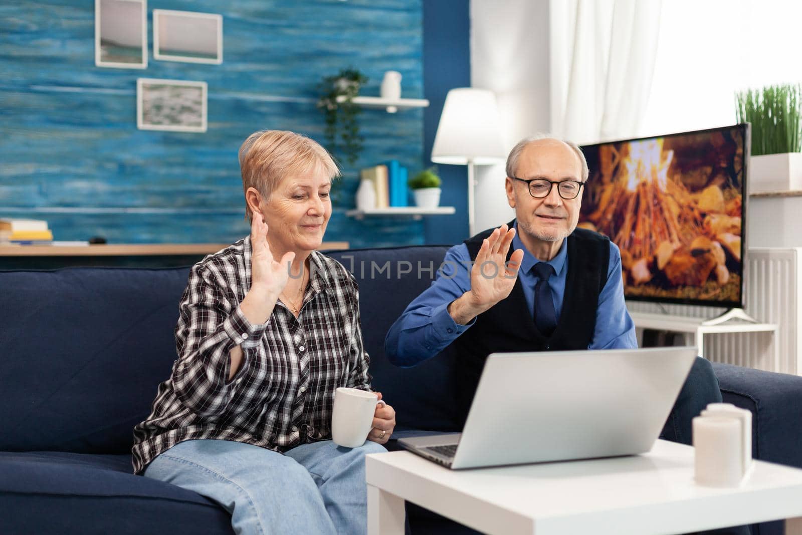 Cheerful senior couple in living room waving at webcam by DCStudio