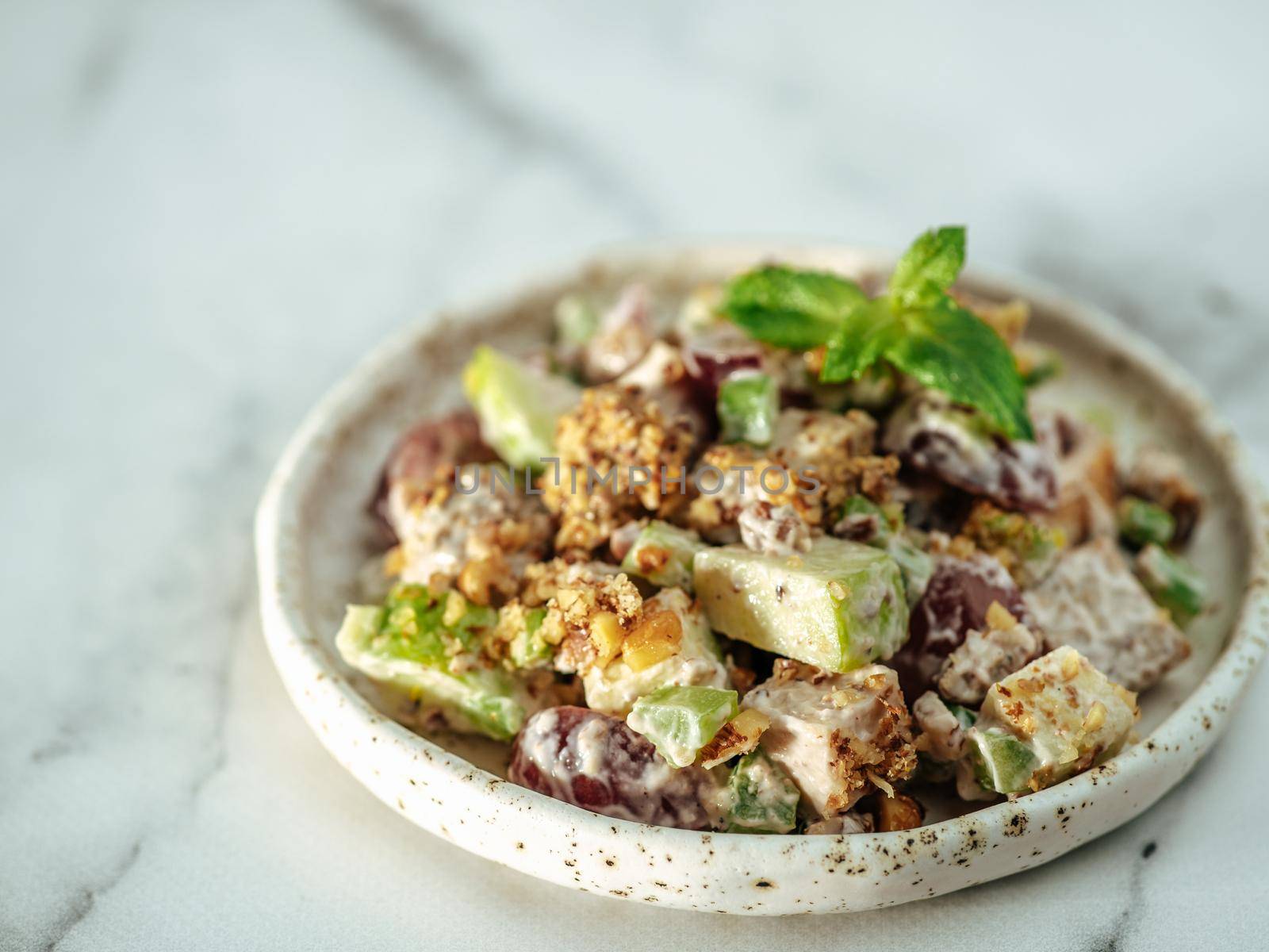 Waldorf salad with copy space. American fruit and nut salad with apples, celery, grapes, chicken meat, dressed mayonnaise. Craft plate with ready-to-eat waldorf salad on white marble background