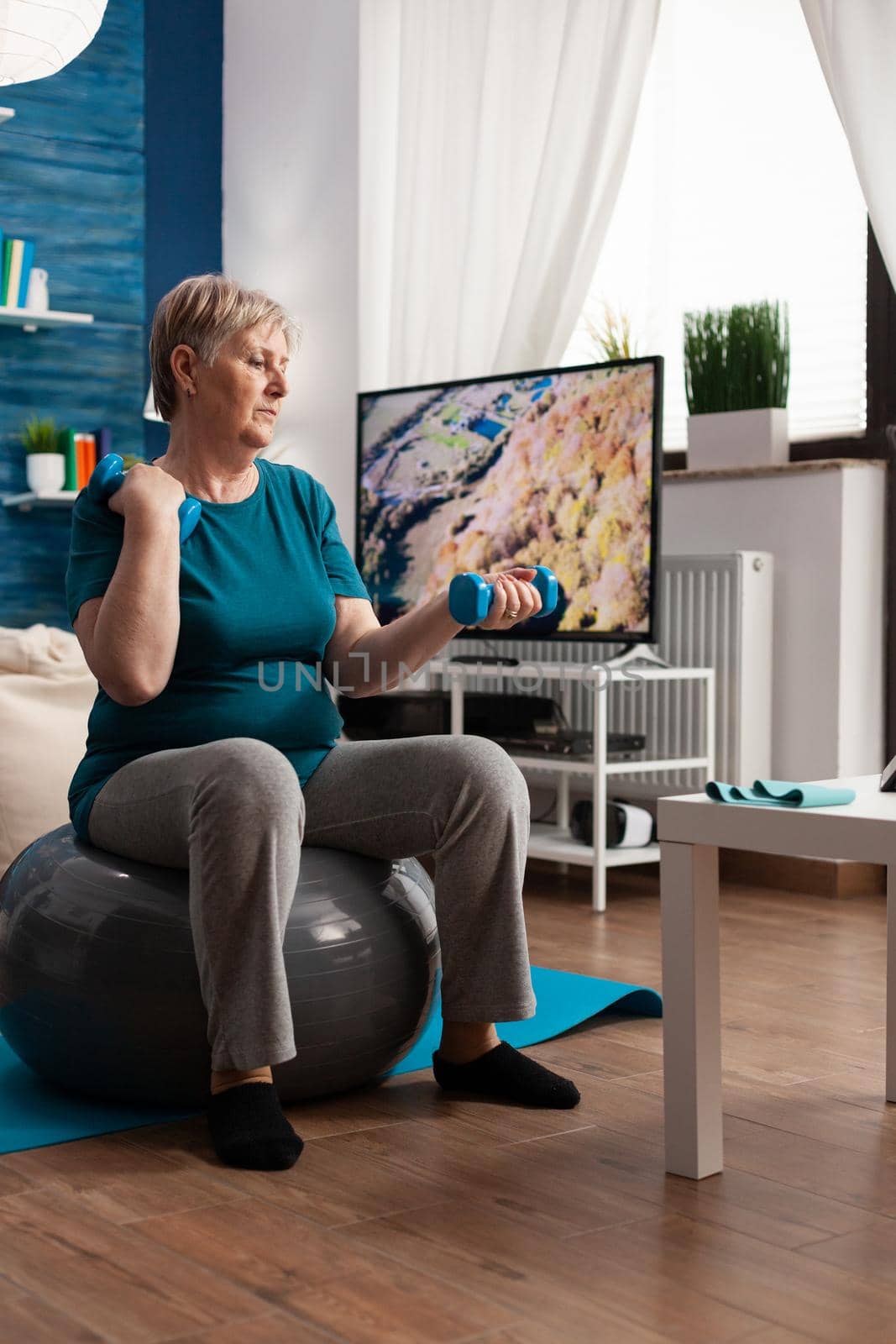 Focused senior man holding dumbbells working muscles exercise streching body training arm muscular resistance. Retirement caucasian male sitting on swiss ball in living room doing fitness workout