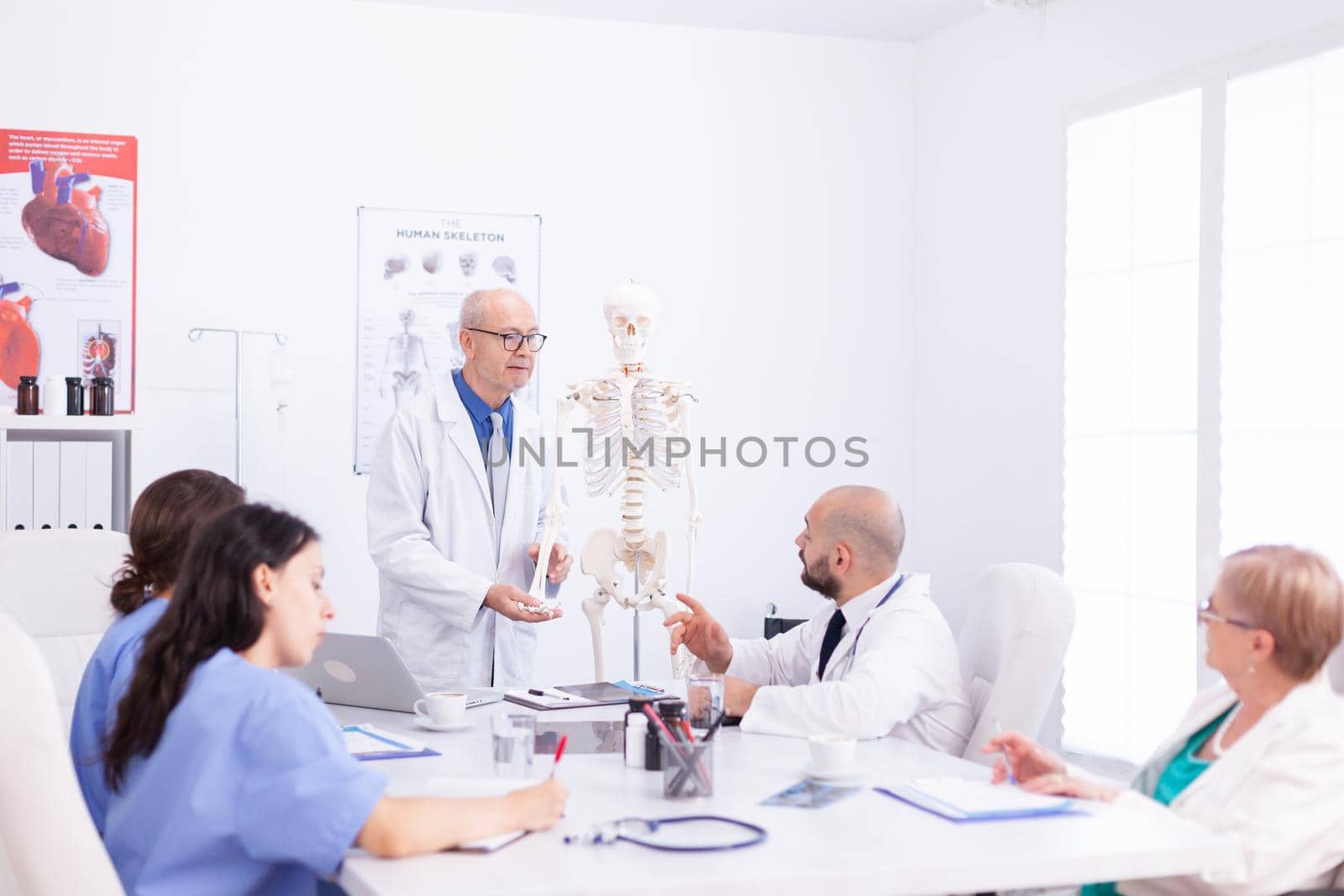 Mature doctor wearing glasses while holding presentation about human anatomy using skeleton. Clinic expert therapist talking with colleagues about disease, medicine professional
