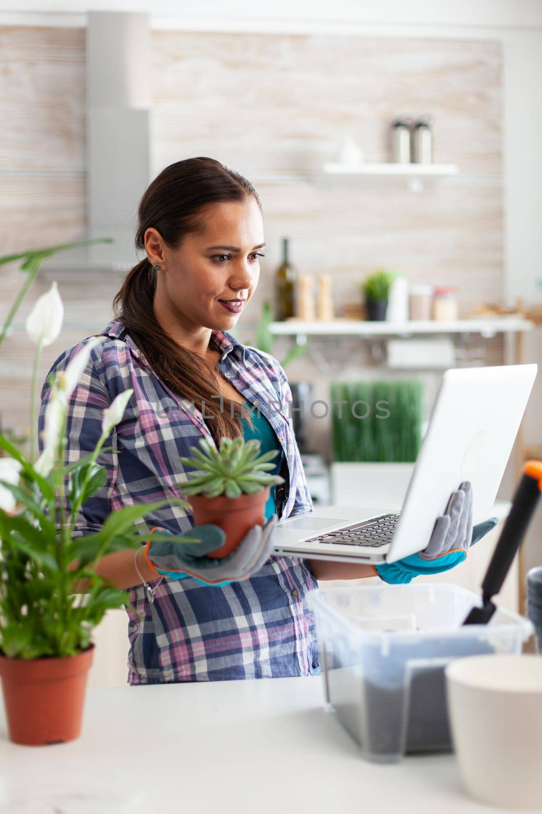 Woman in kitchen reading about flowers by DCStudio