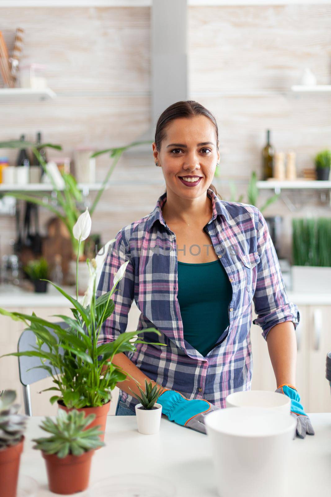 Florist woman looking at camera while planting flowers in kitchen for home decoration. Decorative, plants, growing, lifestyle, design, , dirt, domestic, growh, leaf, hobby, seeding, care,