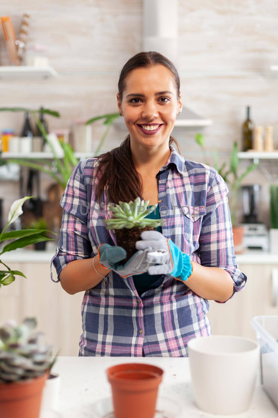 Portrait of happy woman holding succulent plant sitting on the table in kitchen. Woman replanting flowers in ceramic pot using shovel, gloves, fertil soil and flowers for house decoration.