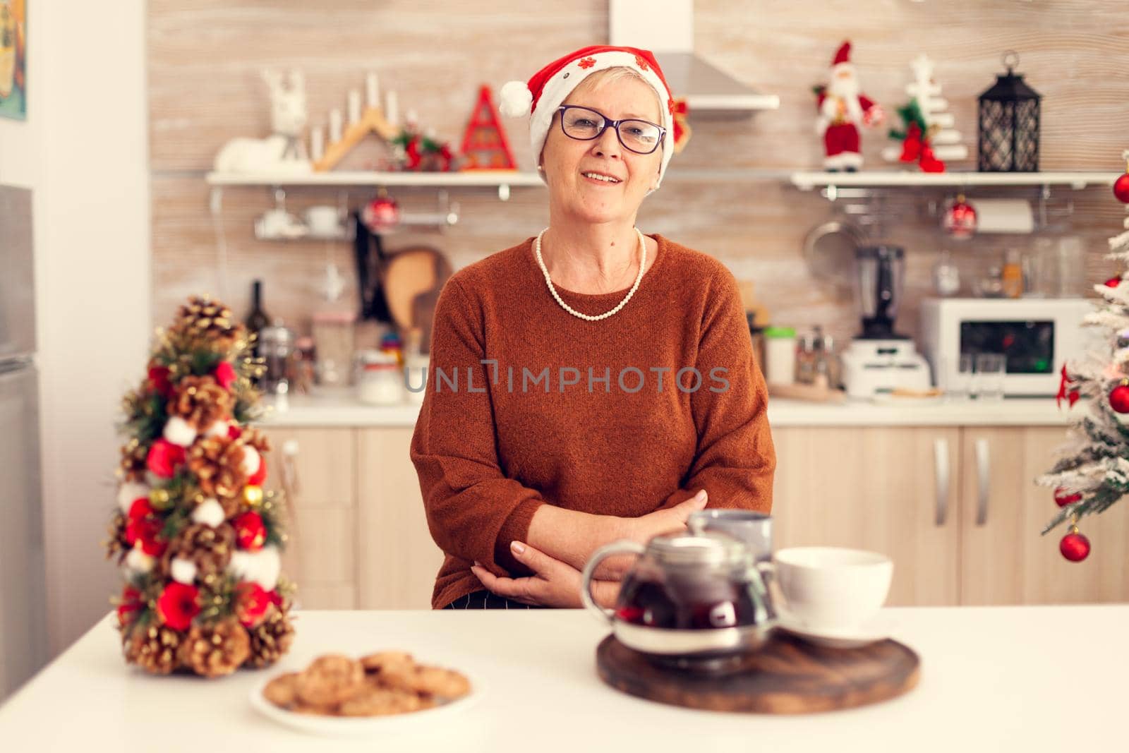 Happy cheerful senior woman celebrating christmas by DCStudio